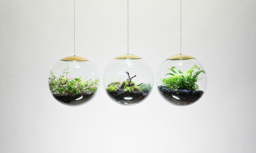 These New Terrarium Globes Are Also Pendant Lights