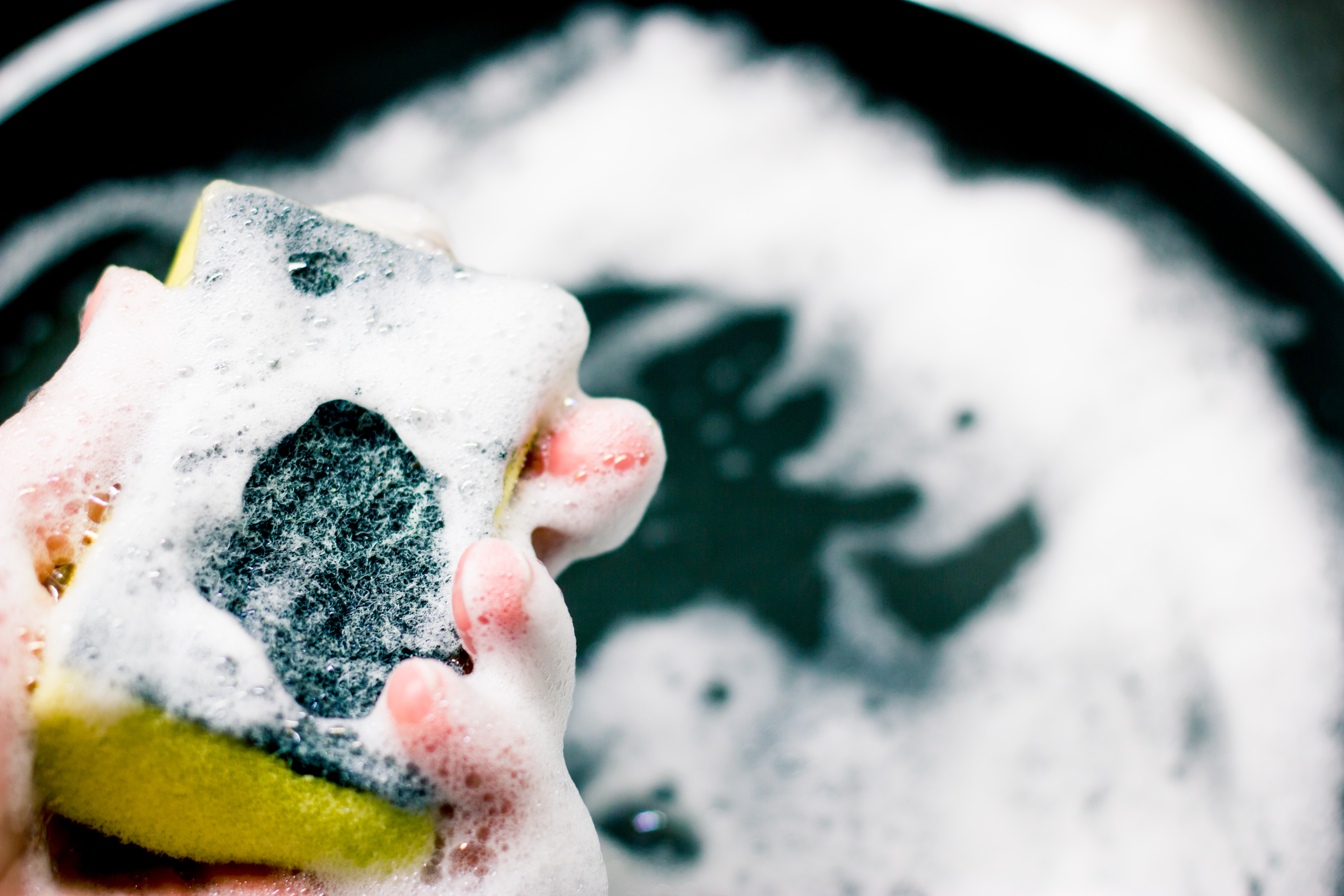 How Dirty Are Kitchen Sponges?