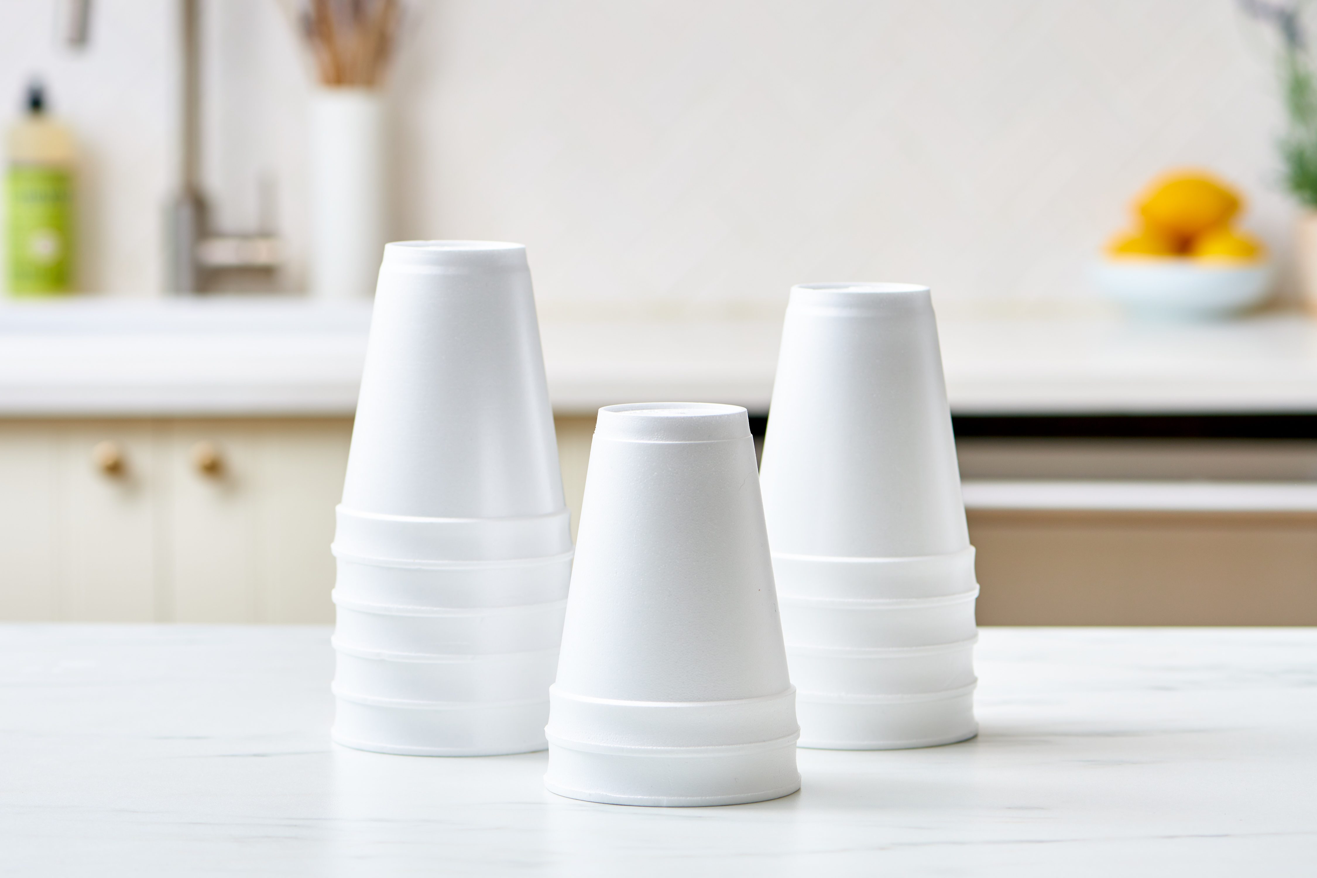 Are Styrofoam Cups Biodegradable