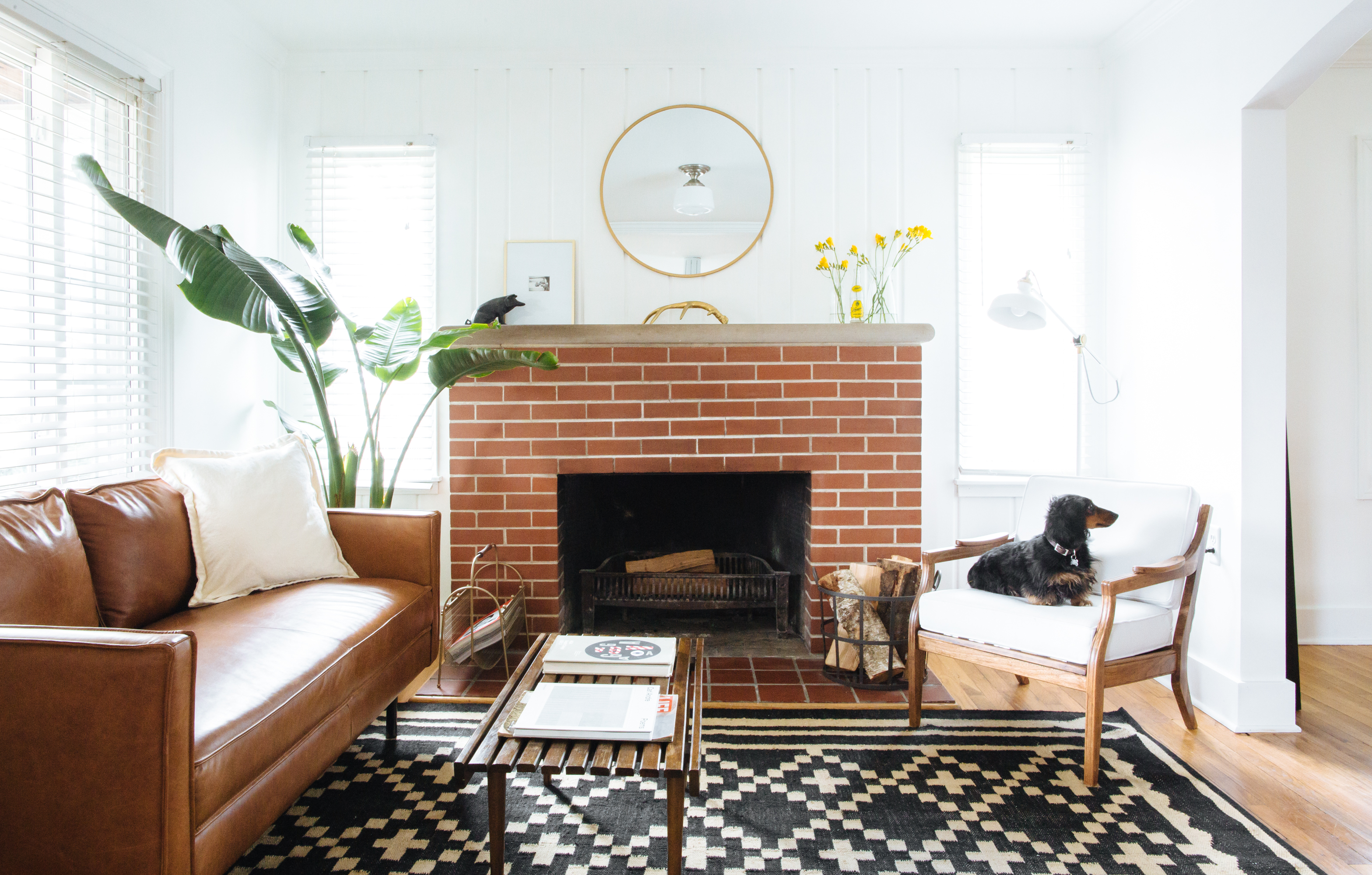 Best Sofa Fabrics For Pet Owners Apartment Therapy