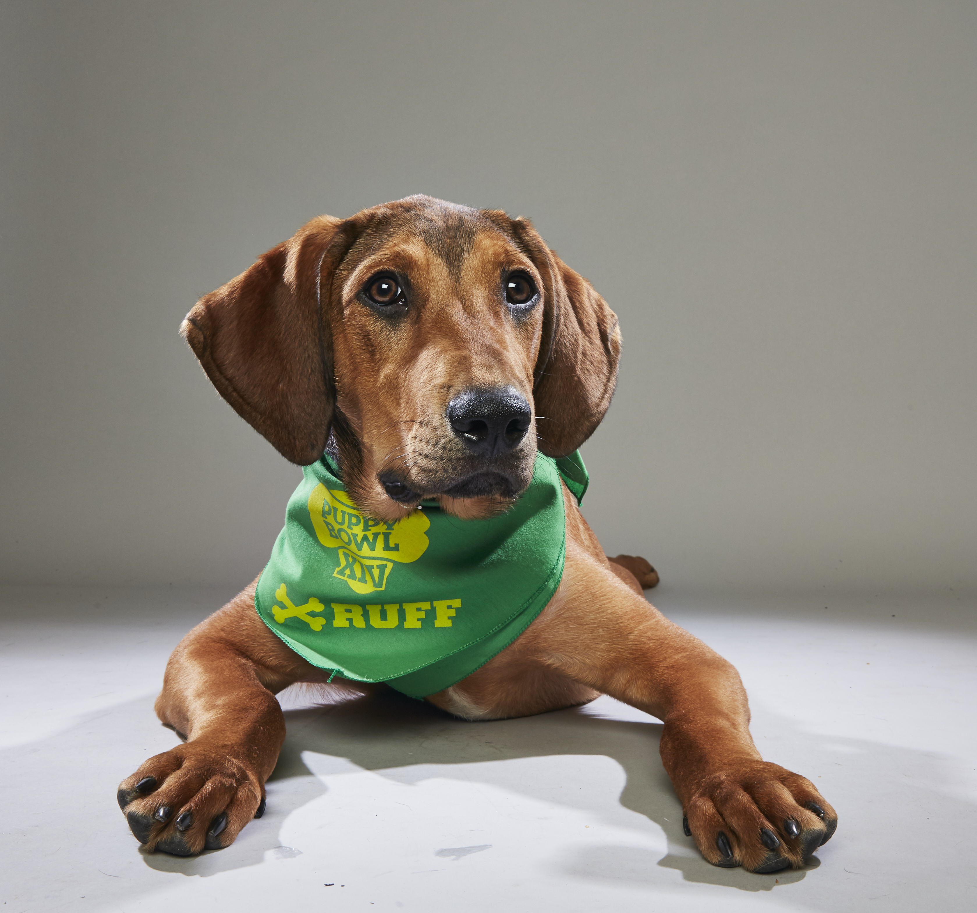 what time is the puppy bowl 2018