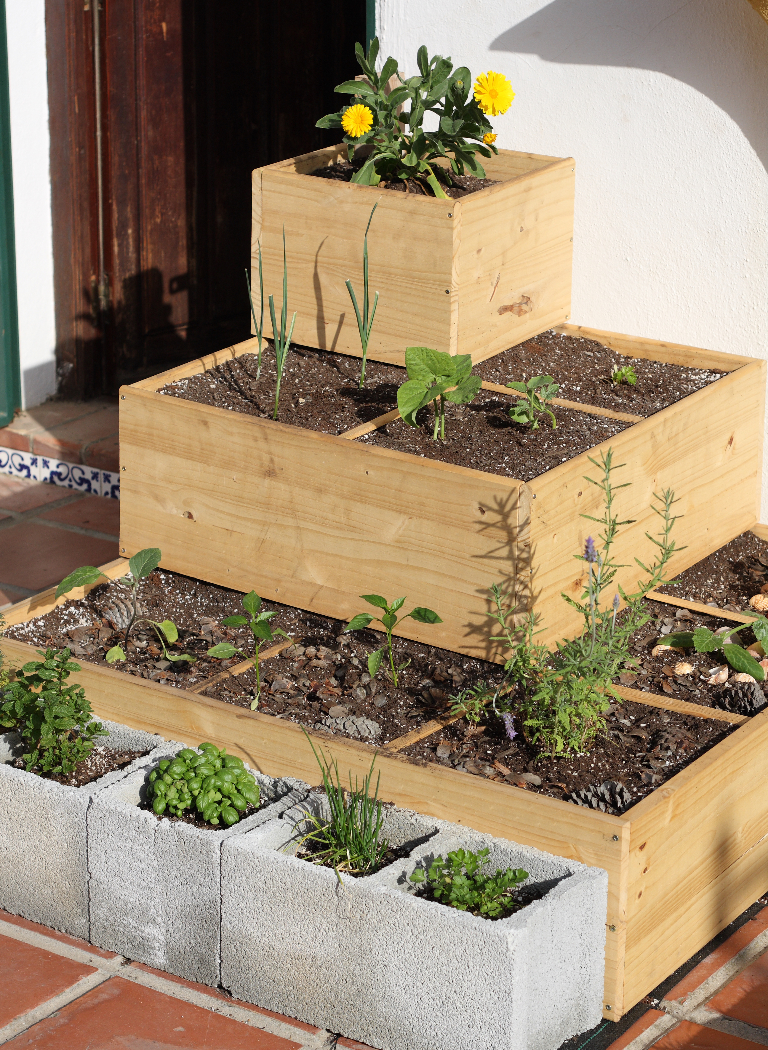 Square Foot Gardening Planning Spacing Benefits Apartment