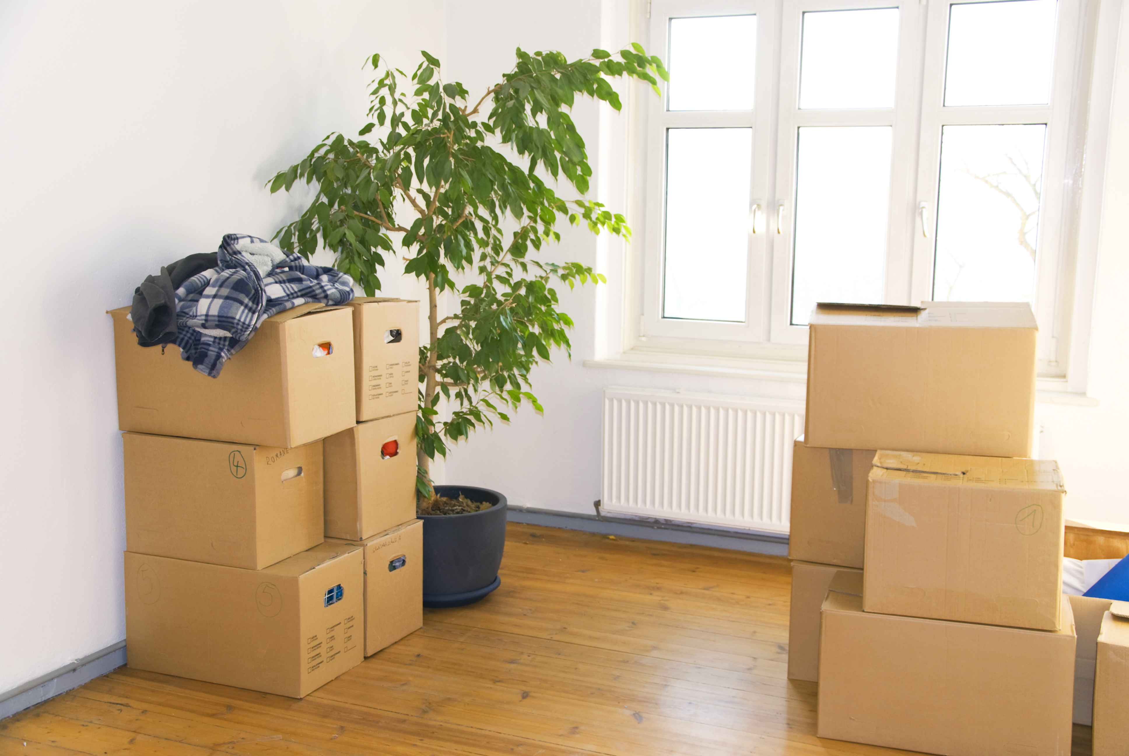 Leafy Moving Boxes  Get Your Moving Boxes Delivered