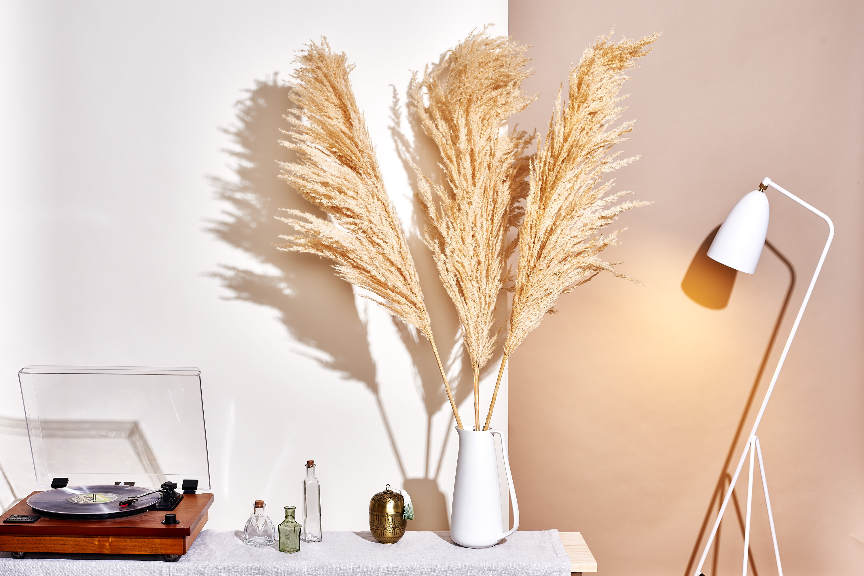 15 Dried Pampas Grass Decor Ideas for Instant Texture and Style