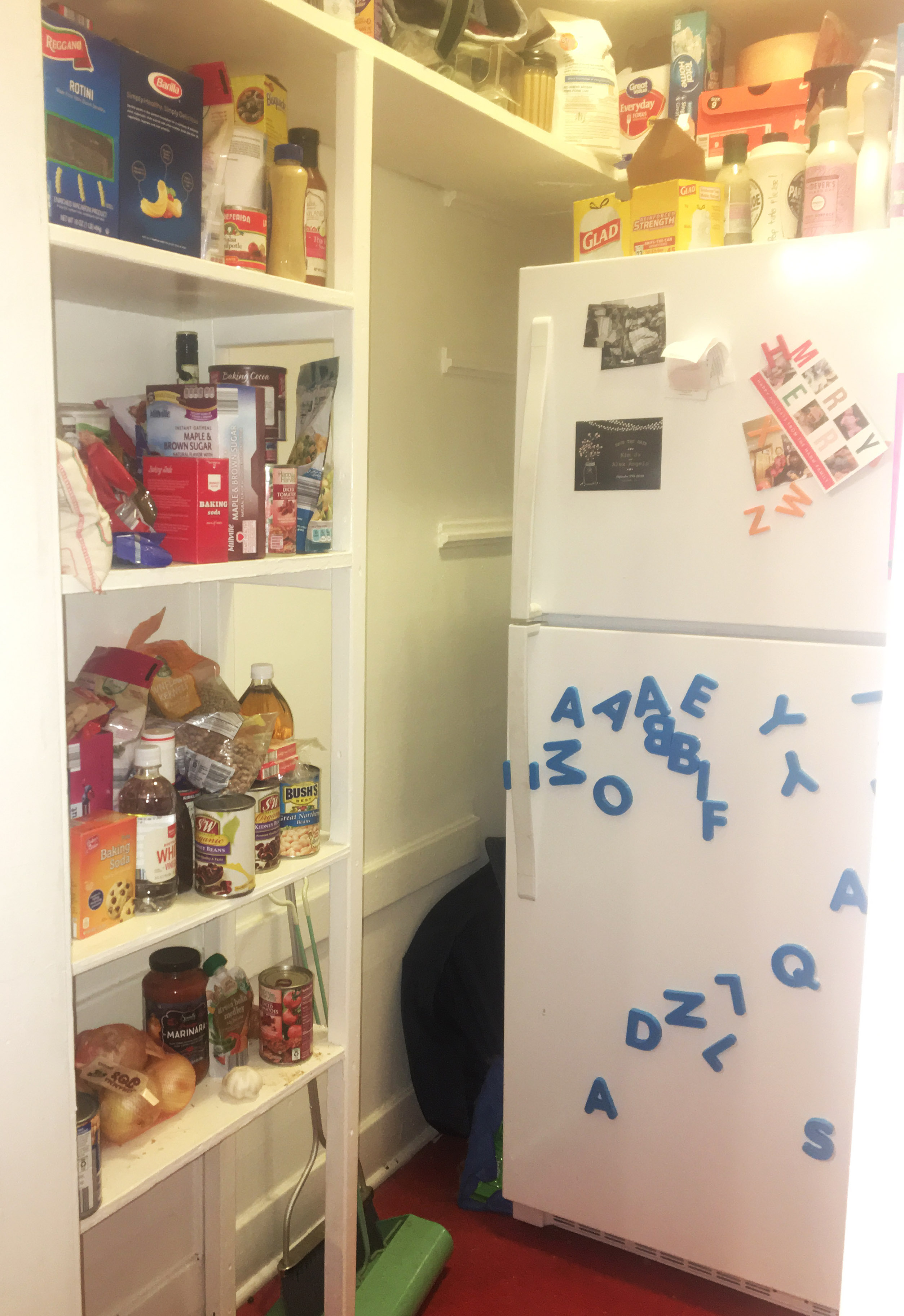 DOLLAR TREE PANTRY ORGANIZATION, SODA CAN ORGANIZERS