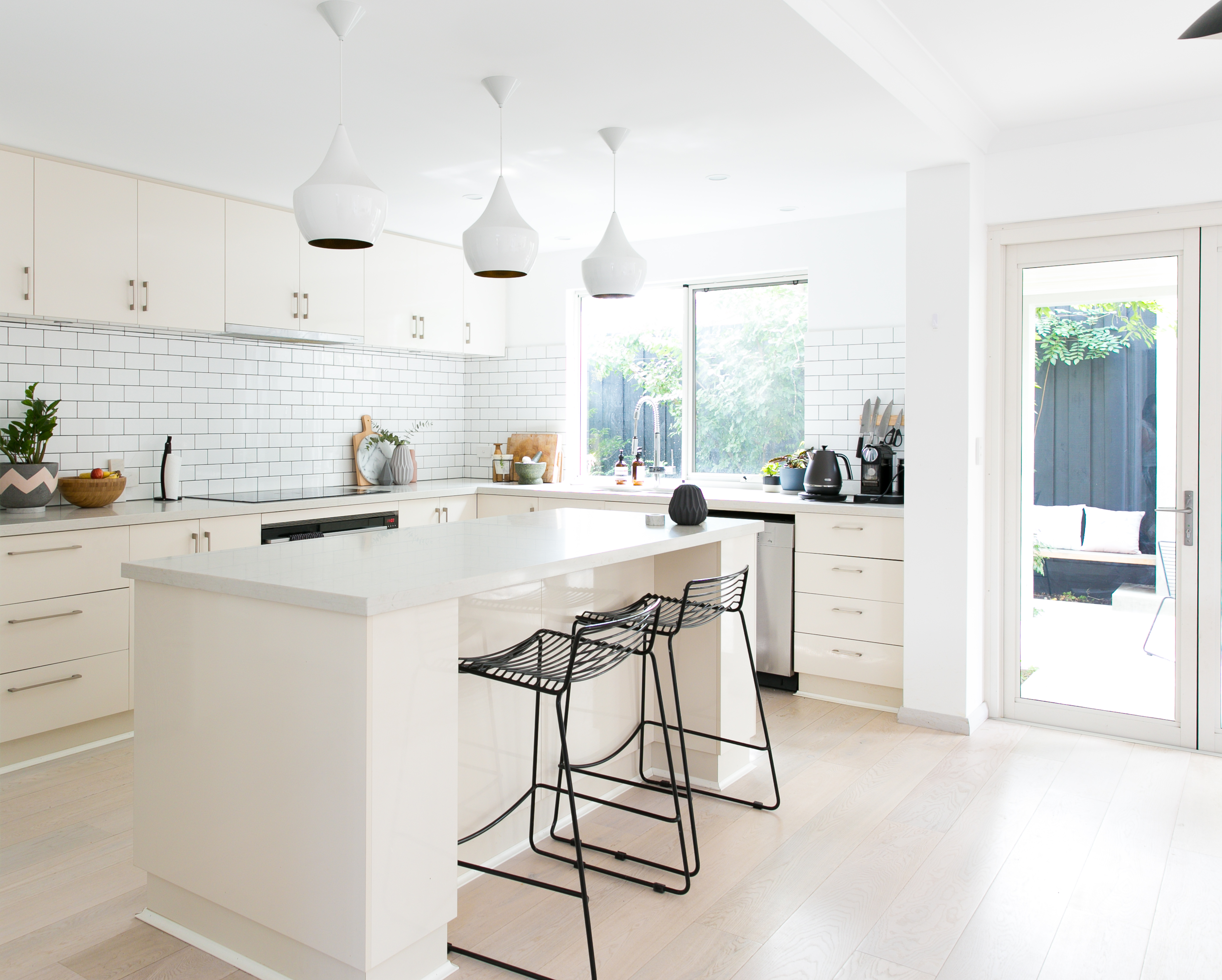 how to keep dogs off kitchen counters