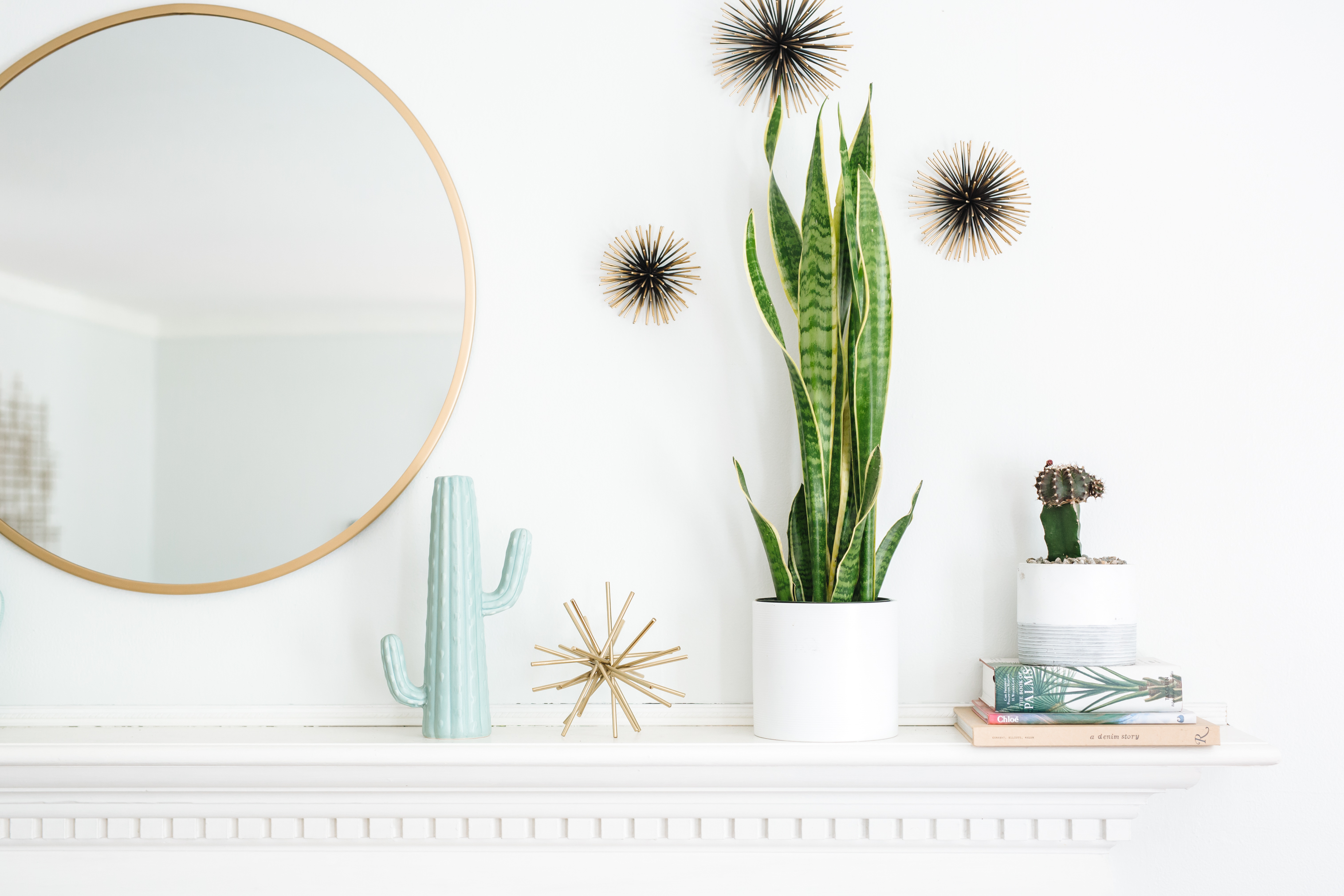 Everything to Know About IKEA's Plant Department | Apartment Therapy