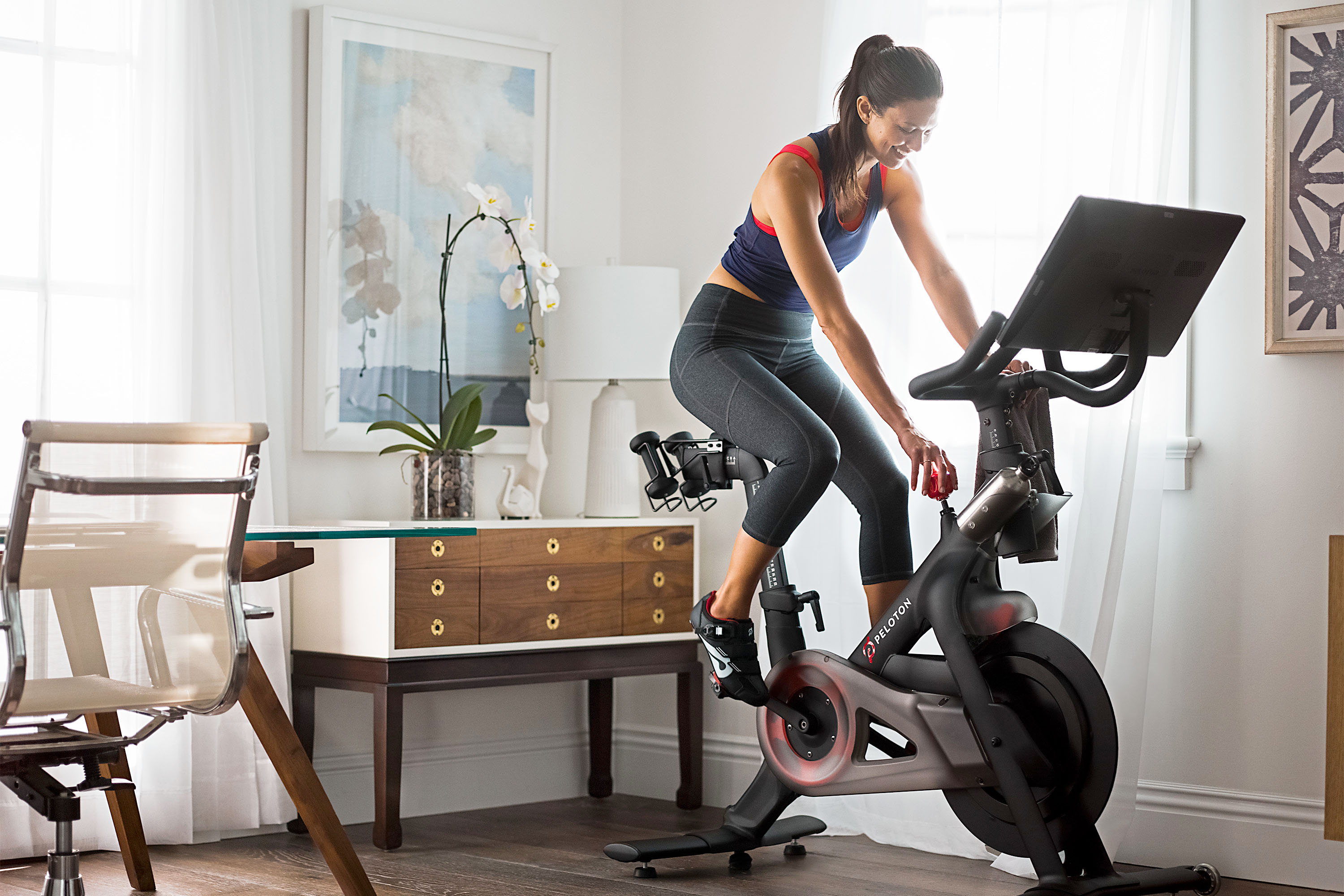 top rated exercise bikes 2019