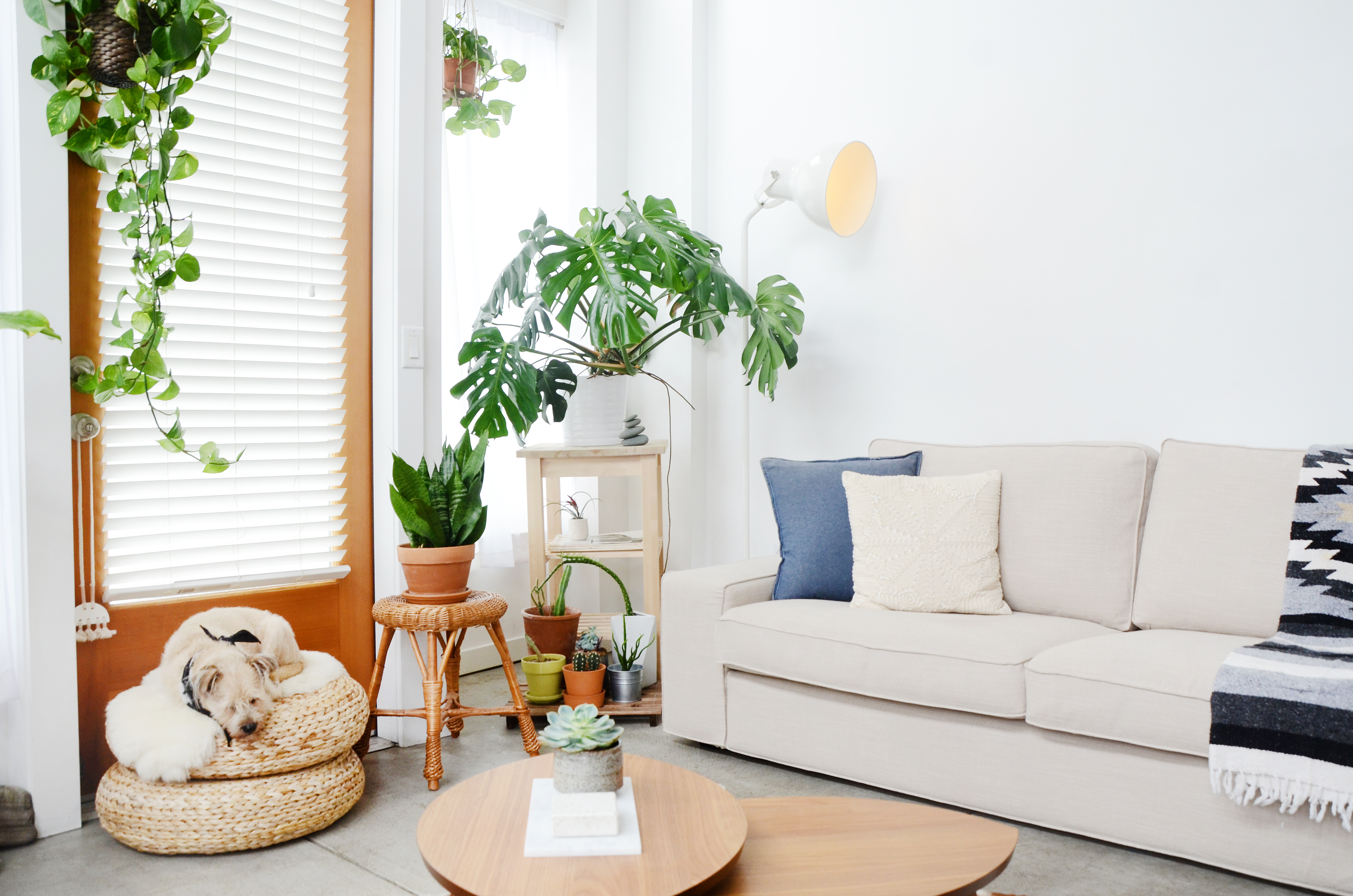 West Elm Sofa Review - Why You Should Never Order a West Elm Couch