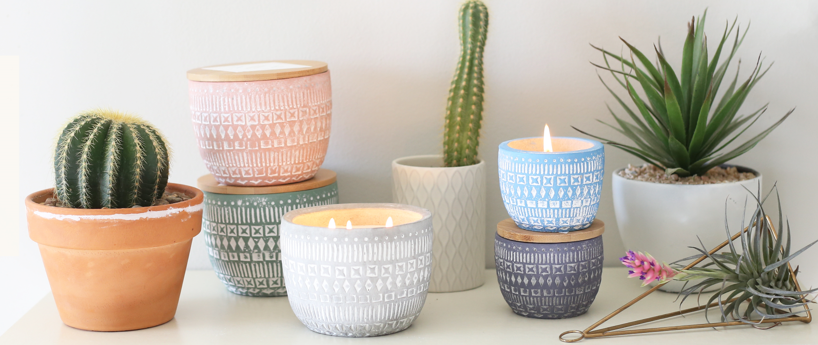 Make Candles with Me - Cactus Candles! 