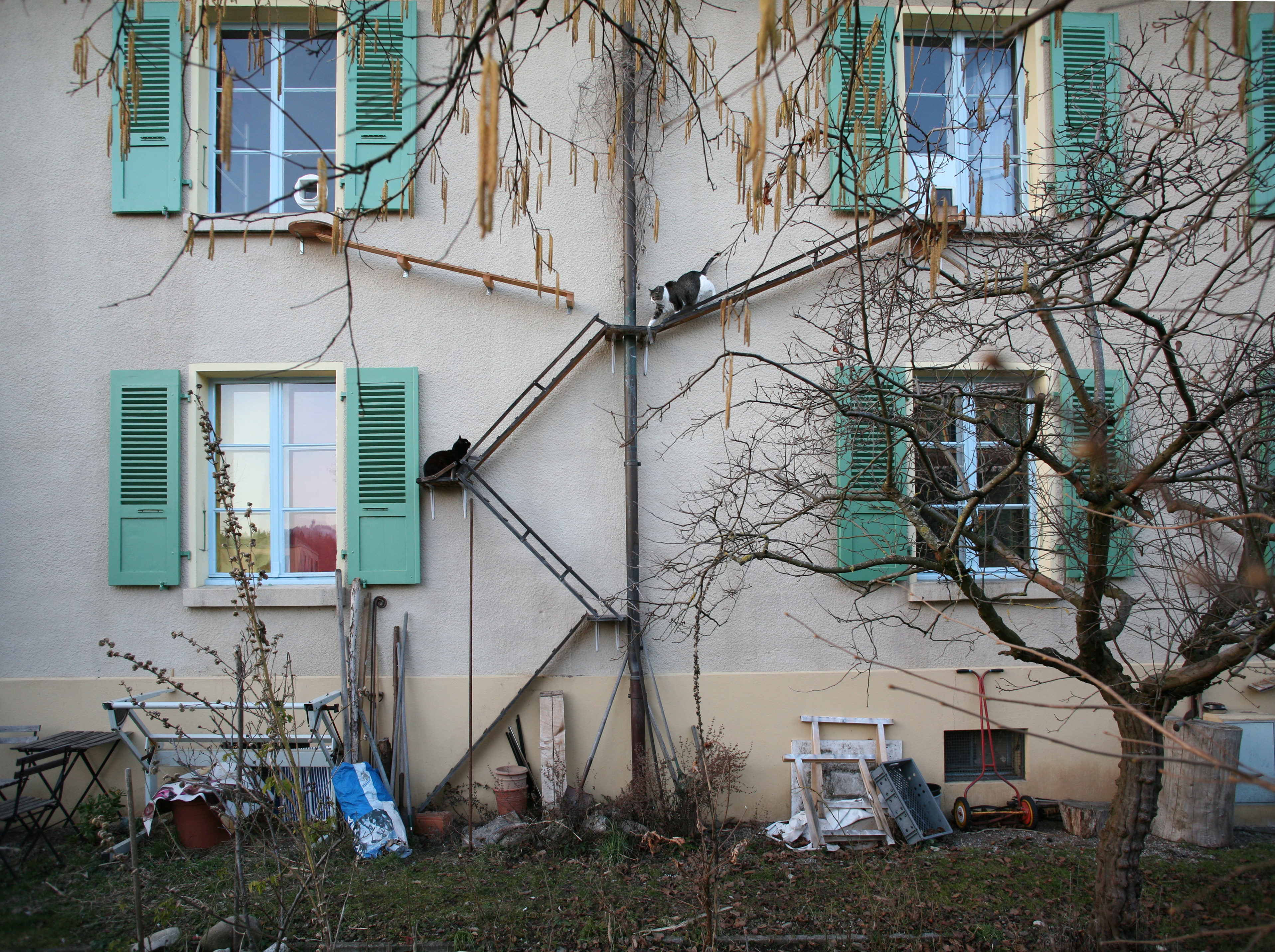 Swiss Cat Ladders Photos Apartment Therapy