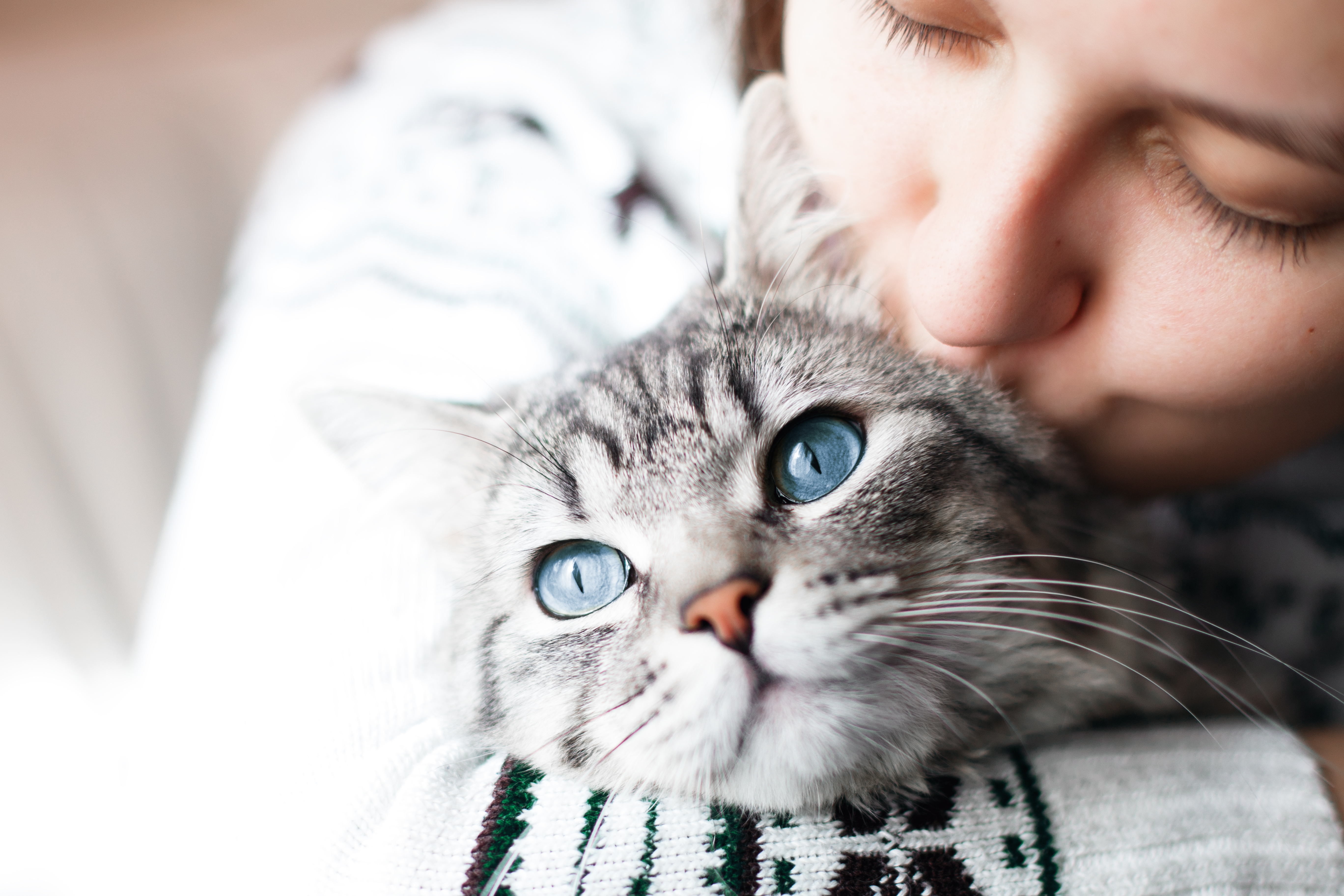 Cats May Recognize Their Own Names—but It Doesn't Mean They Care