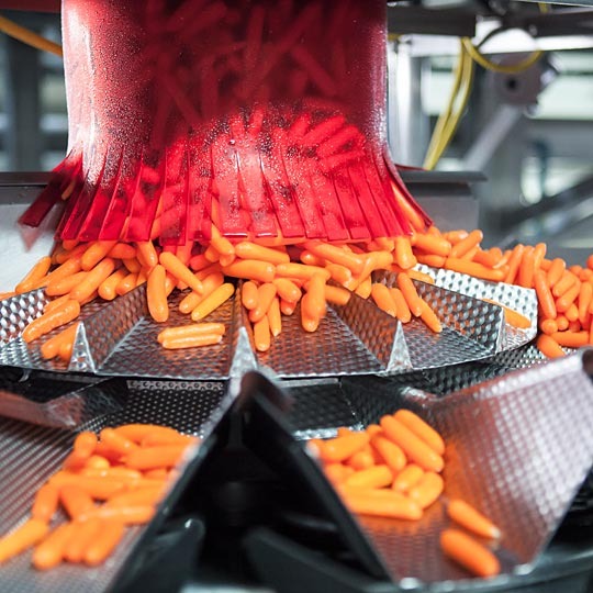 How Baby Carrots Are Made A Tour Behind The Scenes Of How Baby Carrots Are Made A Tour Behind The Scenes Of