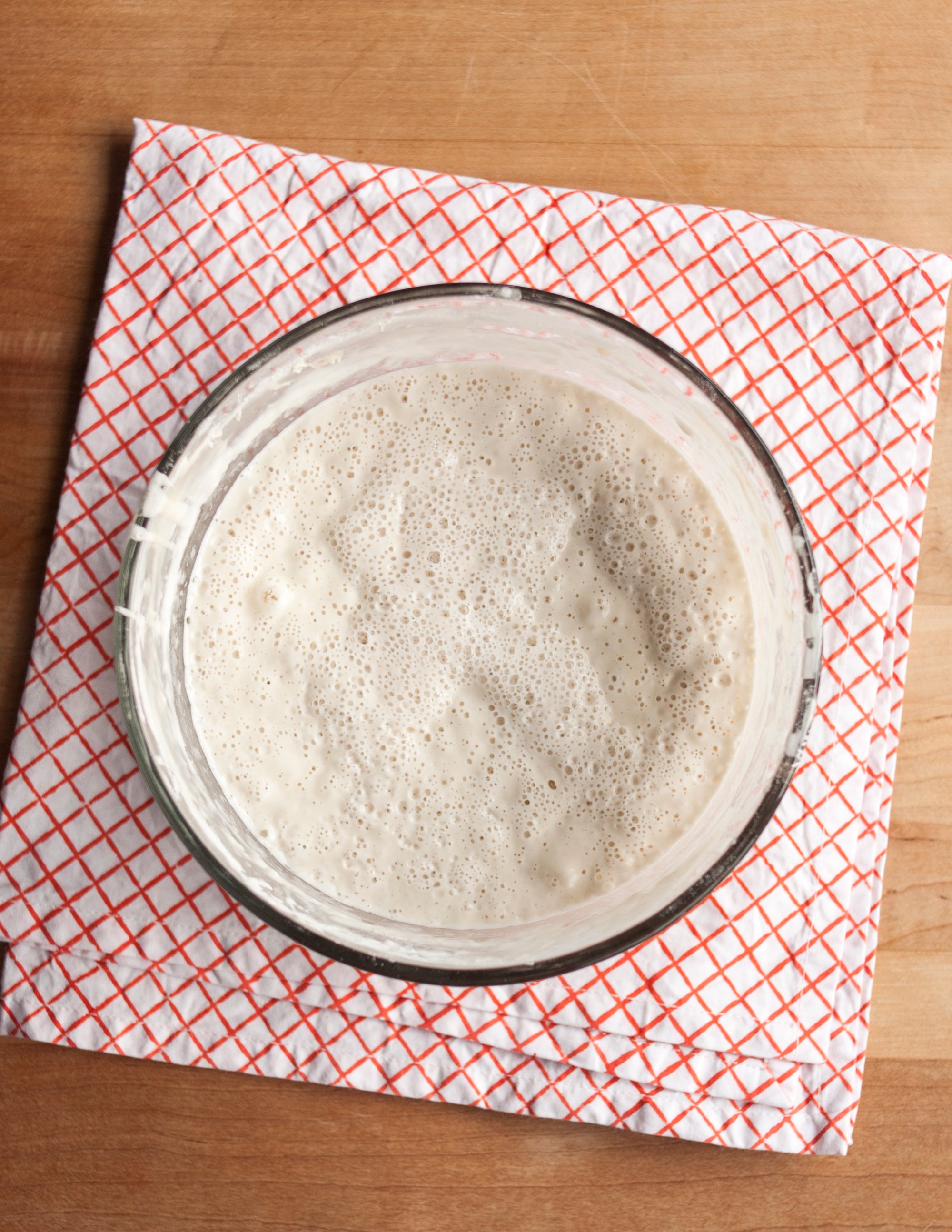 Differences Between A Levain And A Sourdough Starter - The Pantry Mama