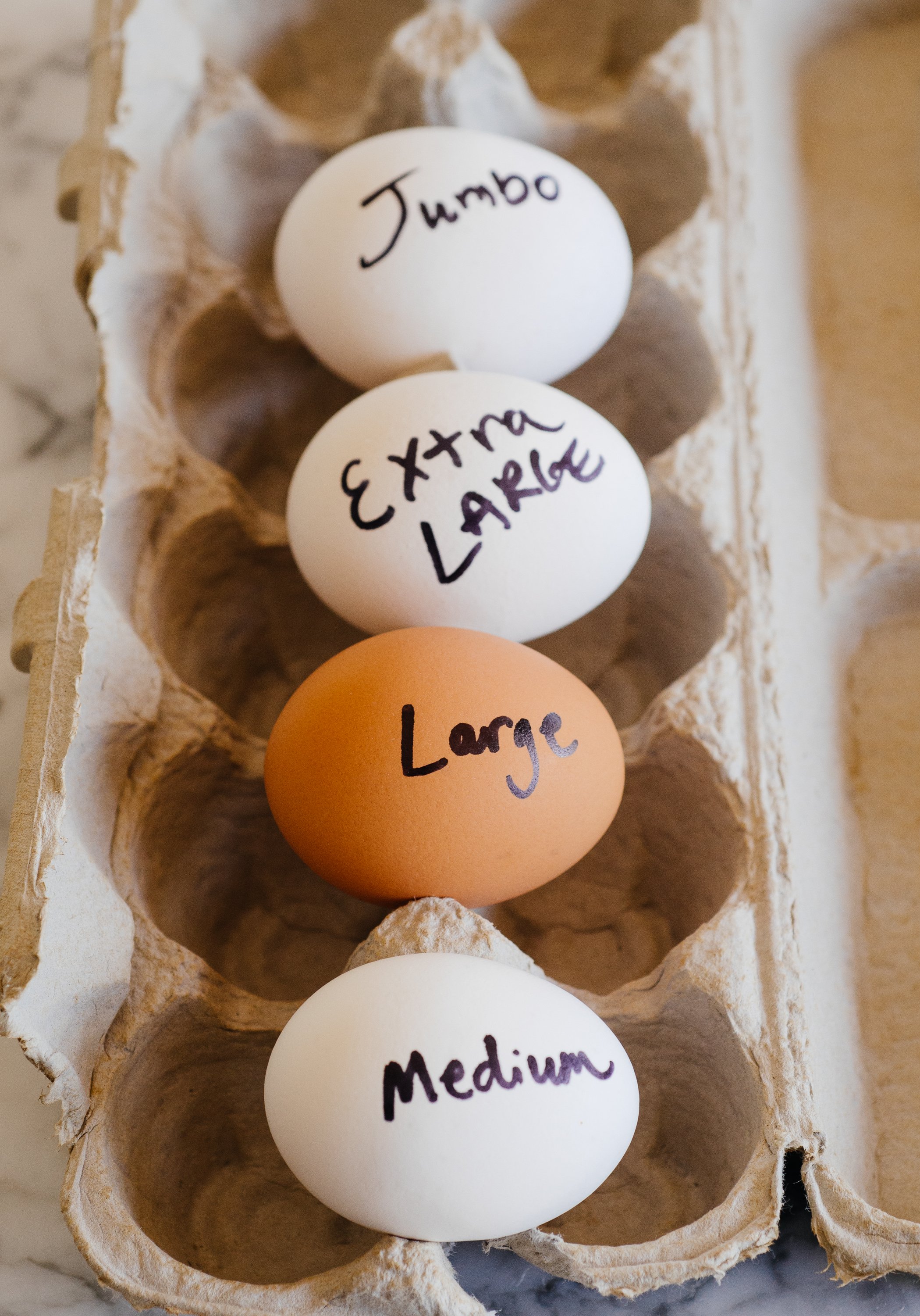 Egg Size Comparison Chart