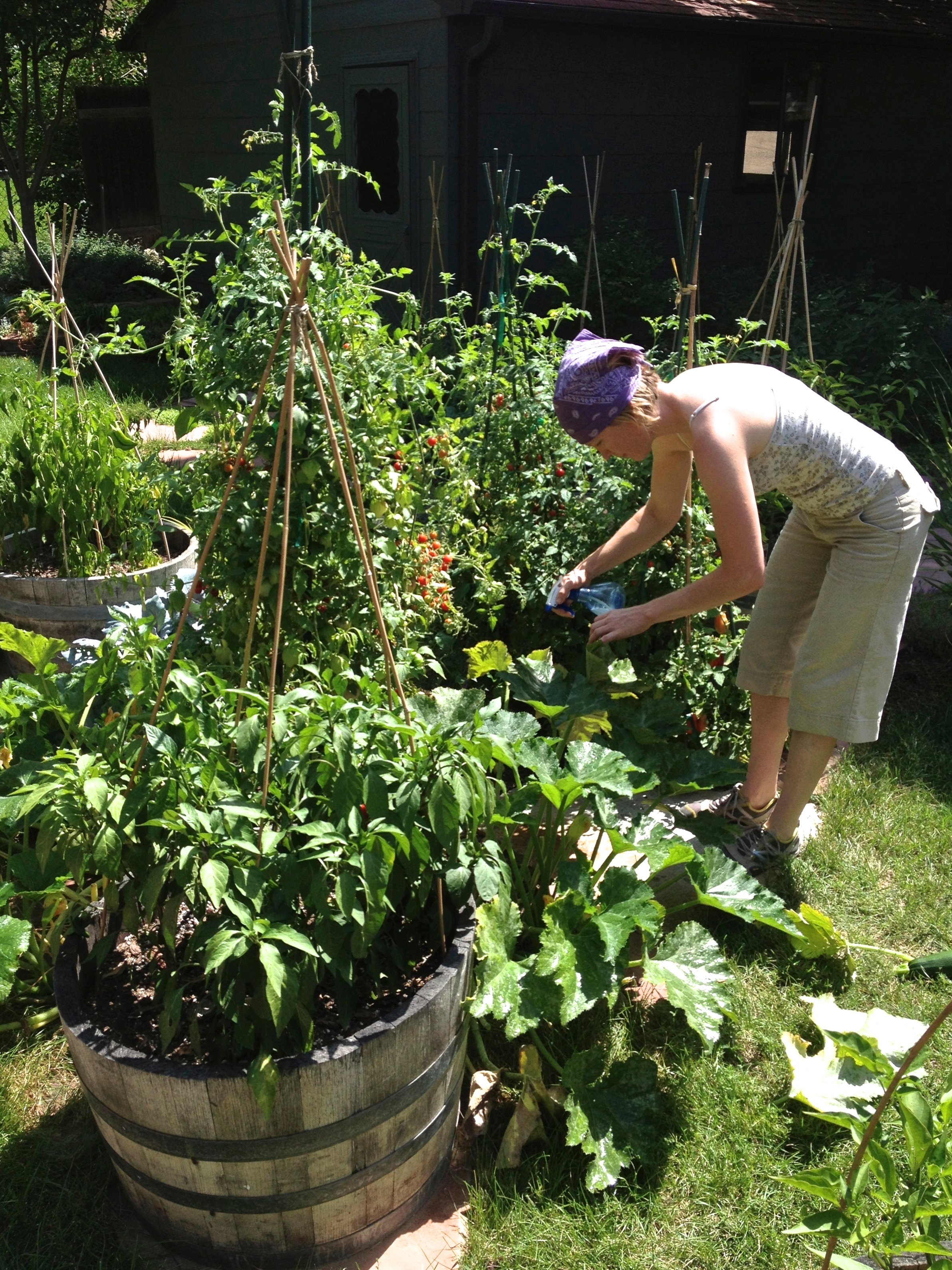 Companion Planting 101: Putting Your Garden to Work for You | The Kitchn, image size:2383x3177