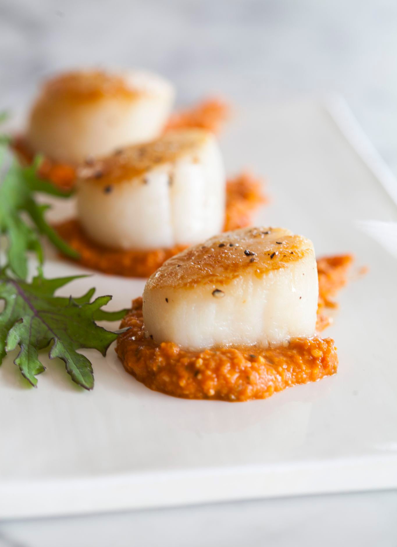 Love Scallops Lucky You They Re A Great Sustainable Seafood Choice Kitchn