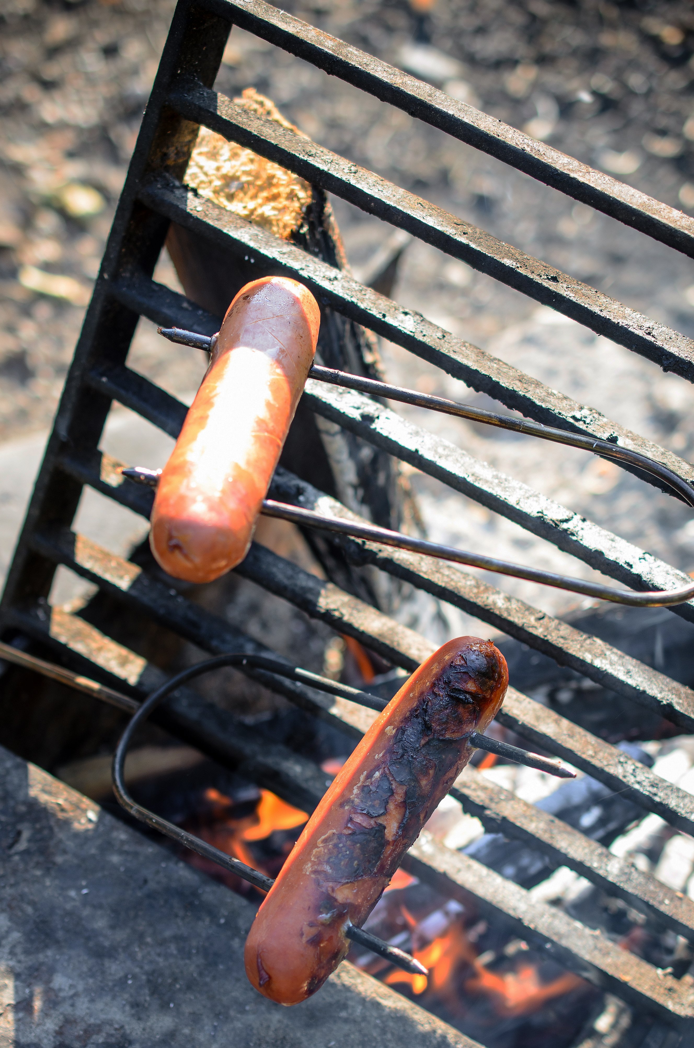 How To Pack Your Food For Car Camping Trip 