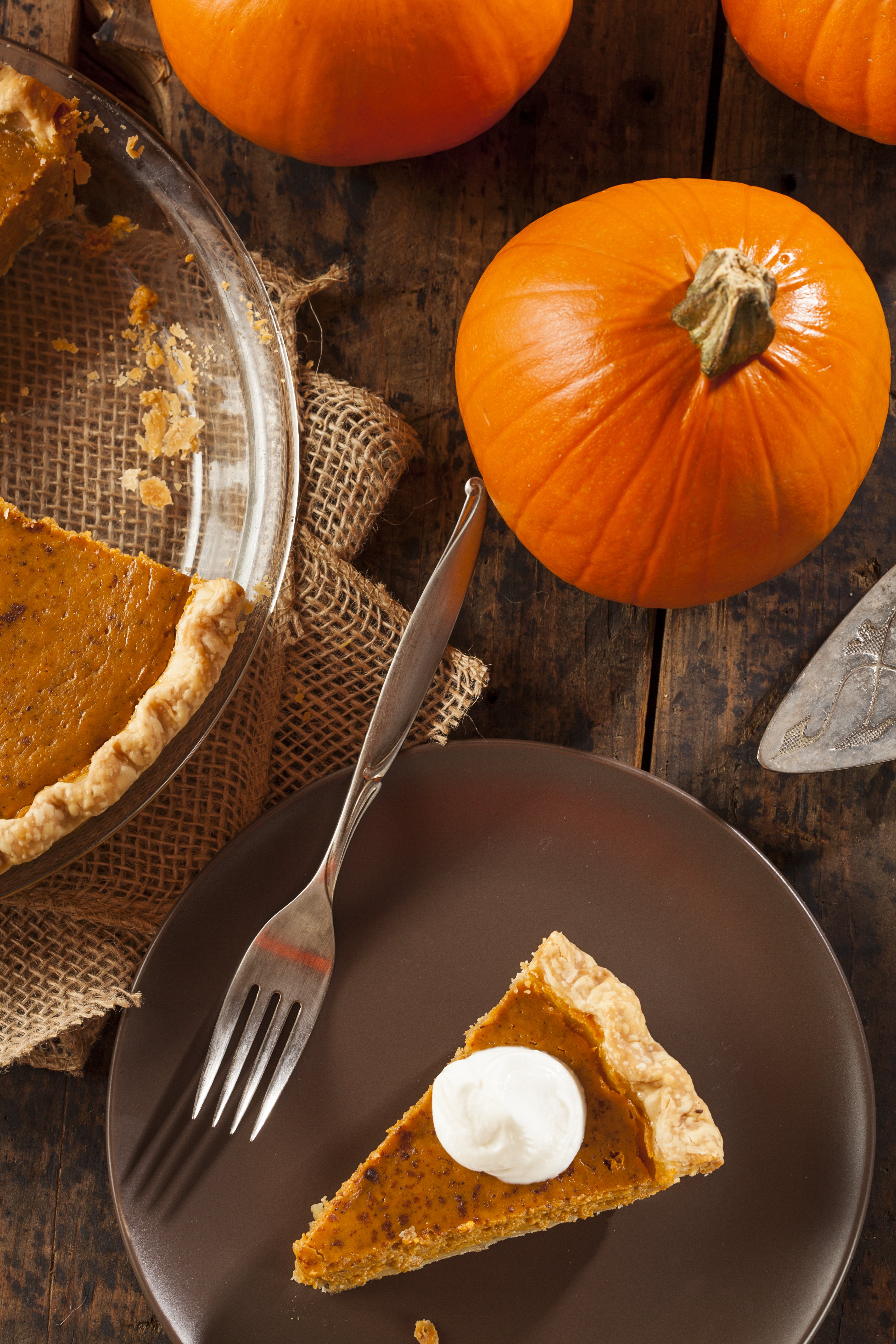 where to find pie pumpkins