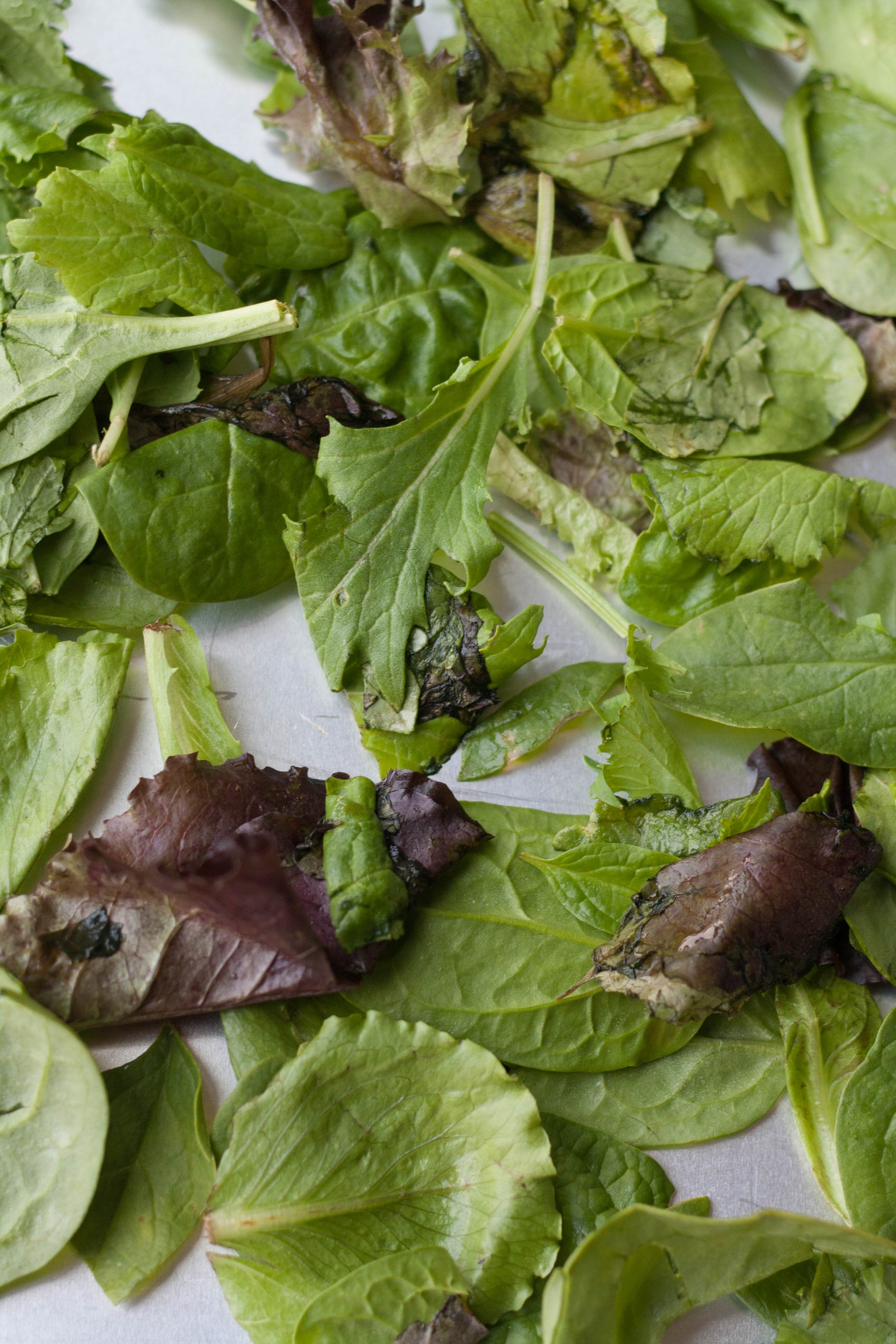 Is It Safe to Eat Slimy Salad Greens?