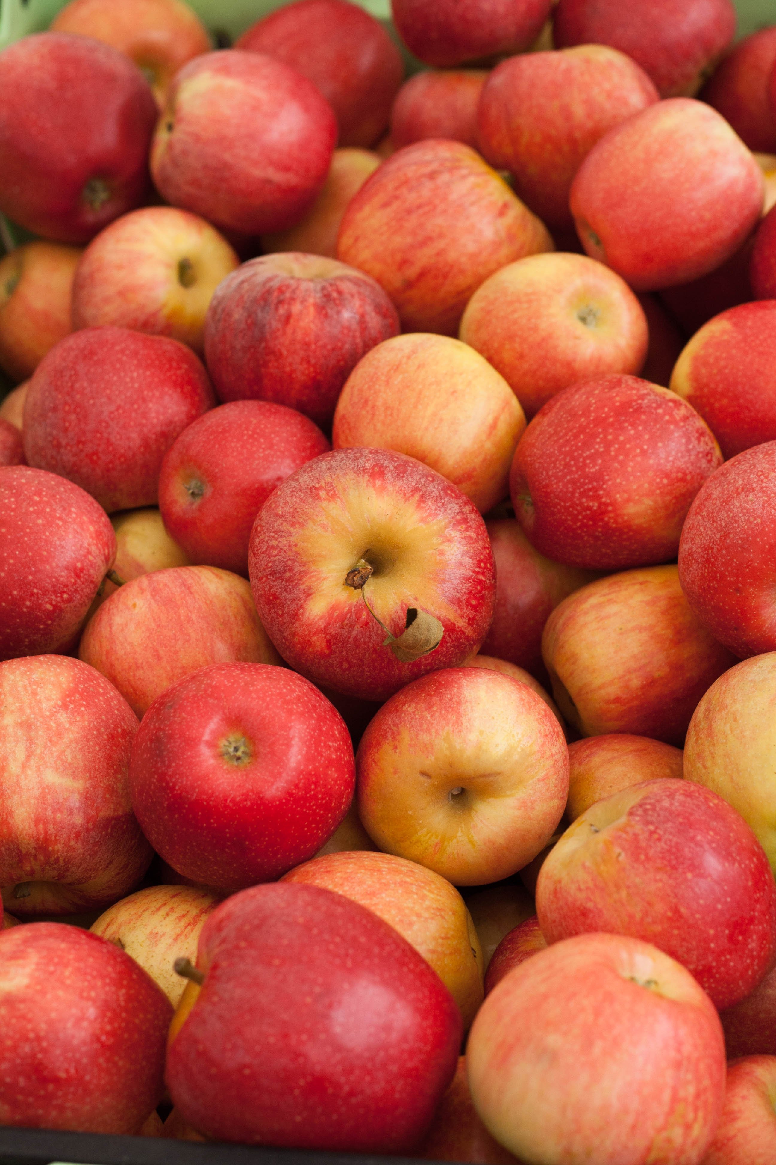 15 Of The Best Apples To Eat Out Of Hand Kitchn