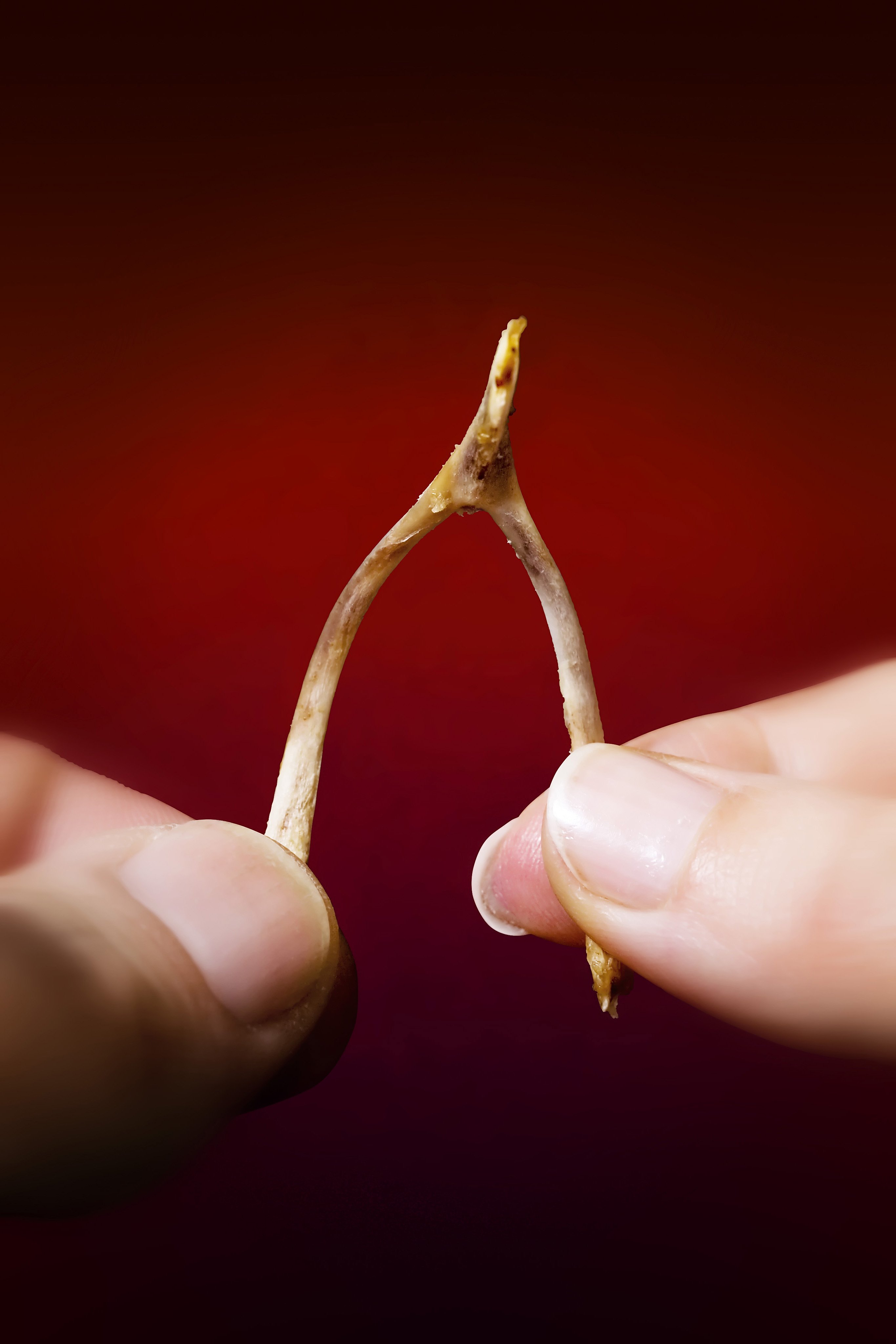 What's a Wishbone, and Why Do We Crack It?