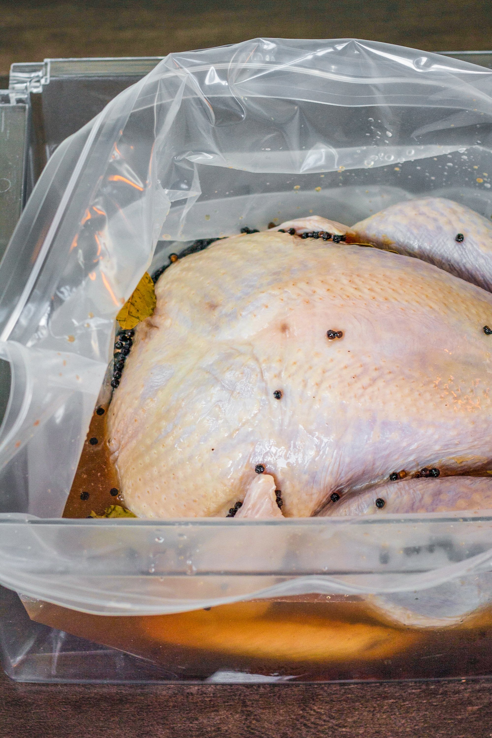 The Best Turkey Brining Bags