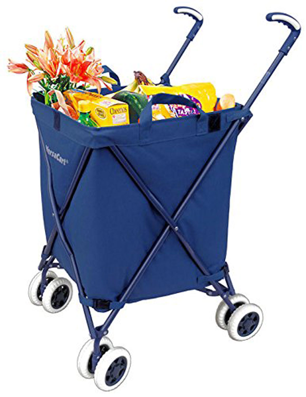 Best Ping Carts For Groceries Kitchn
