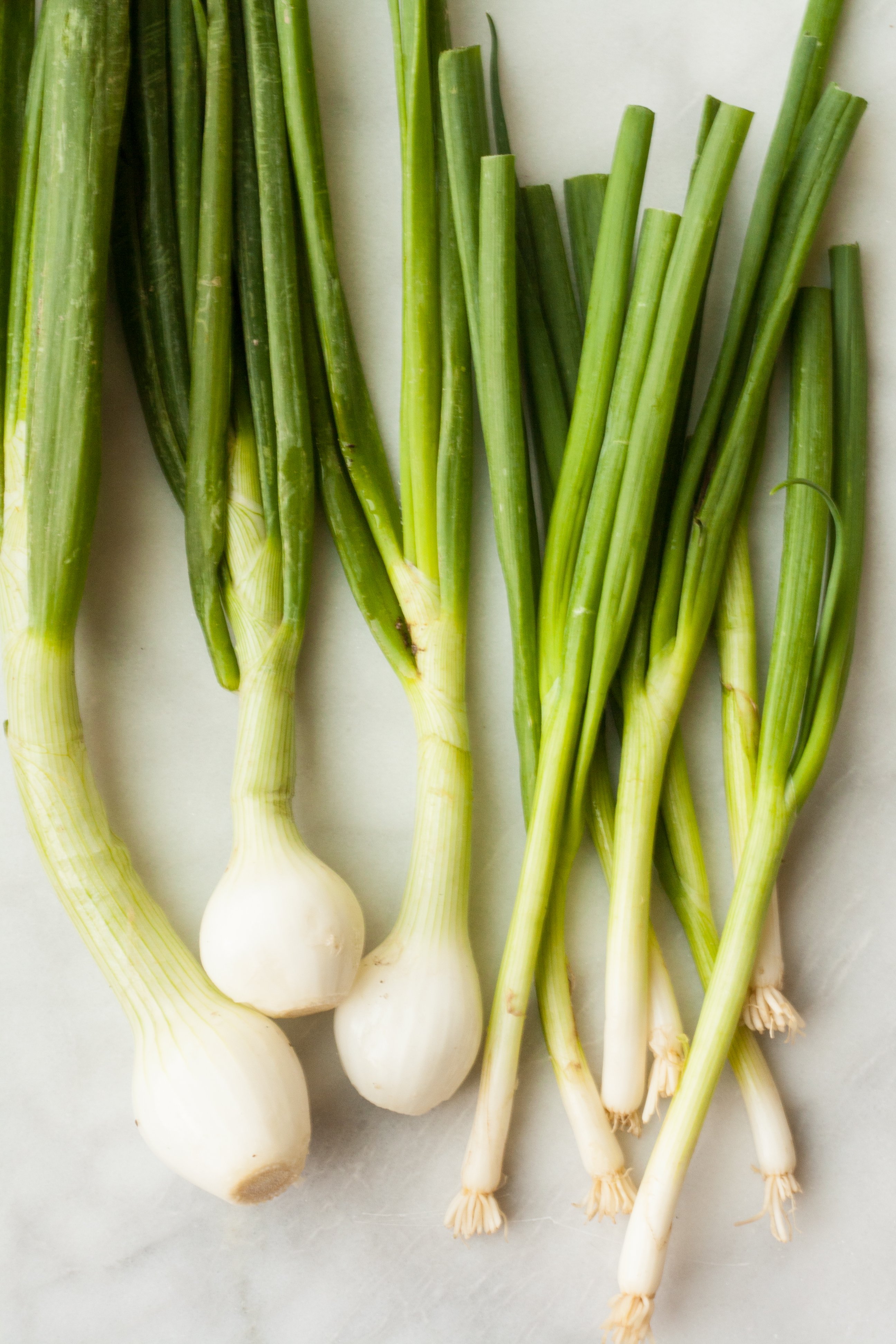 Difference Between Scallions and Green Onions and Spring Onions