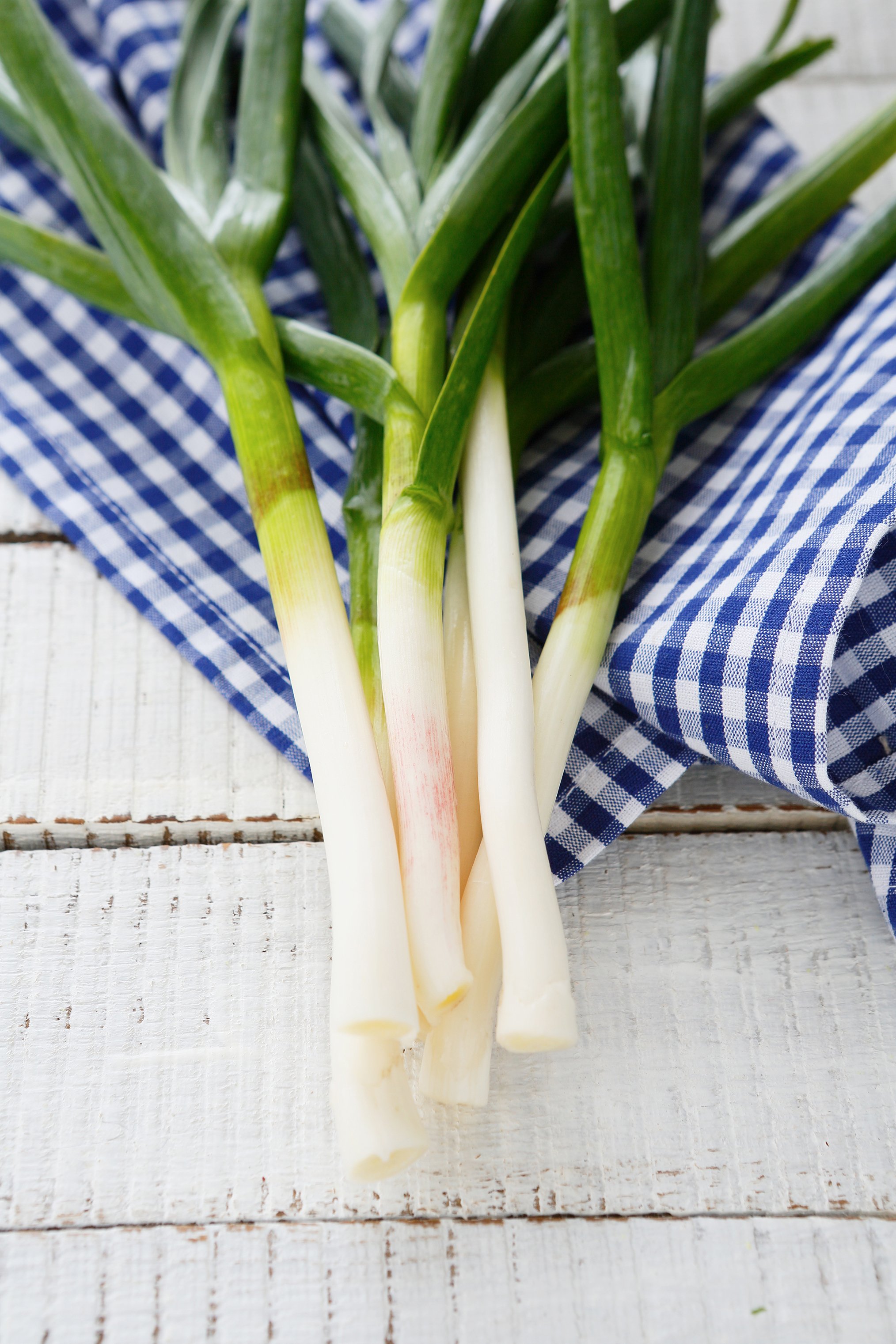 recipe goodness :: grilled green garlic