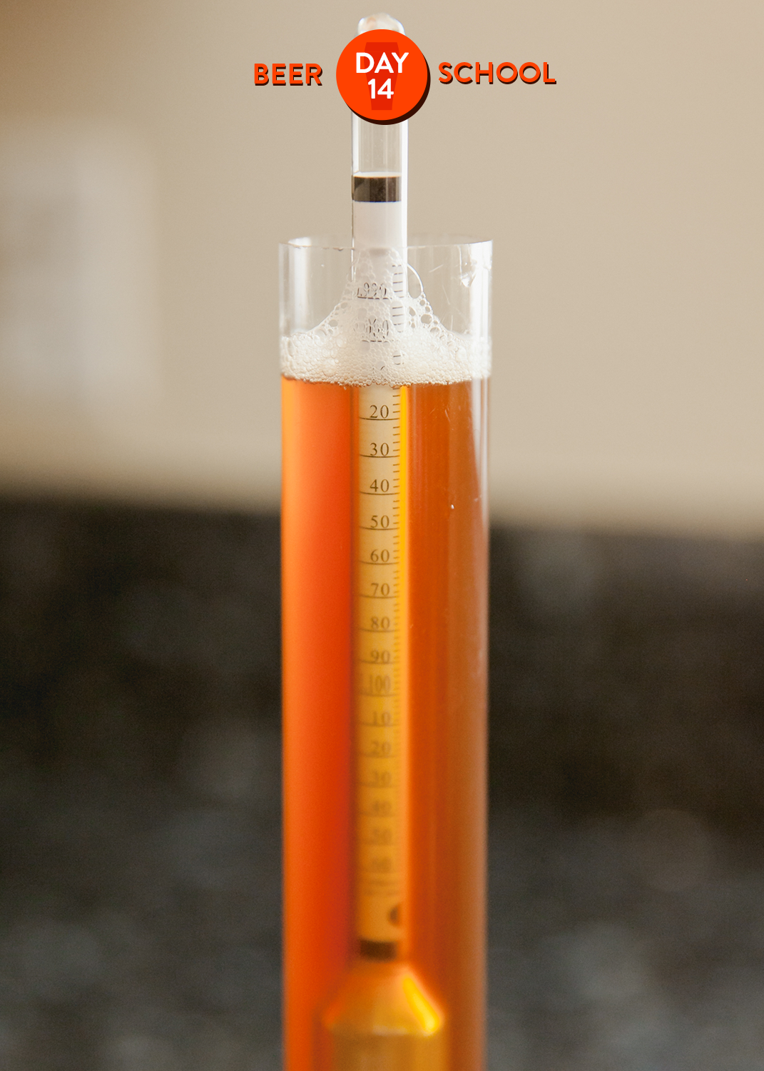 How To Check How Much Alcohol Is In Your Homebrew Kitchn