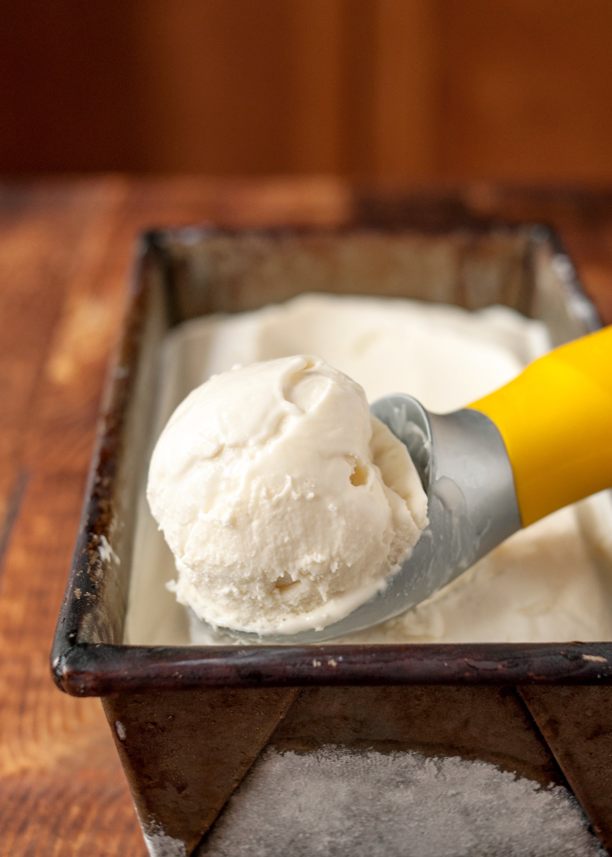 Dairy-Free Coconut Homemade Ice Cream (2 Ingredients/No Machine