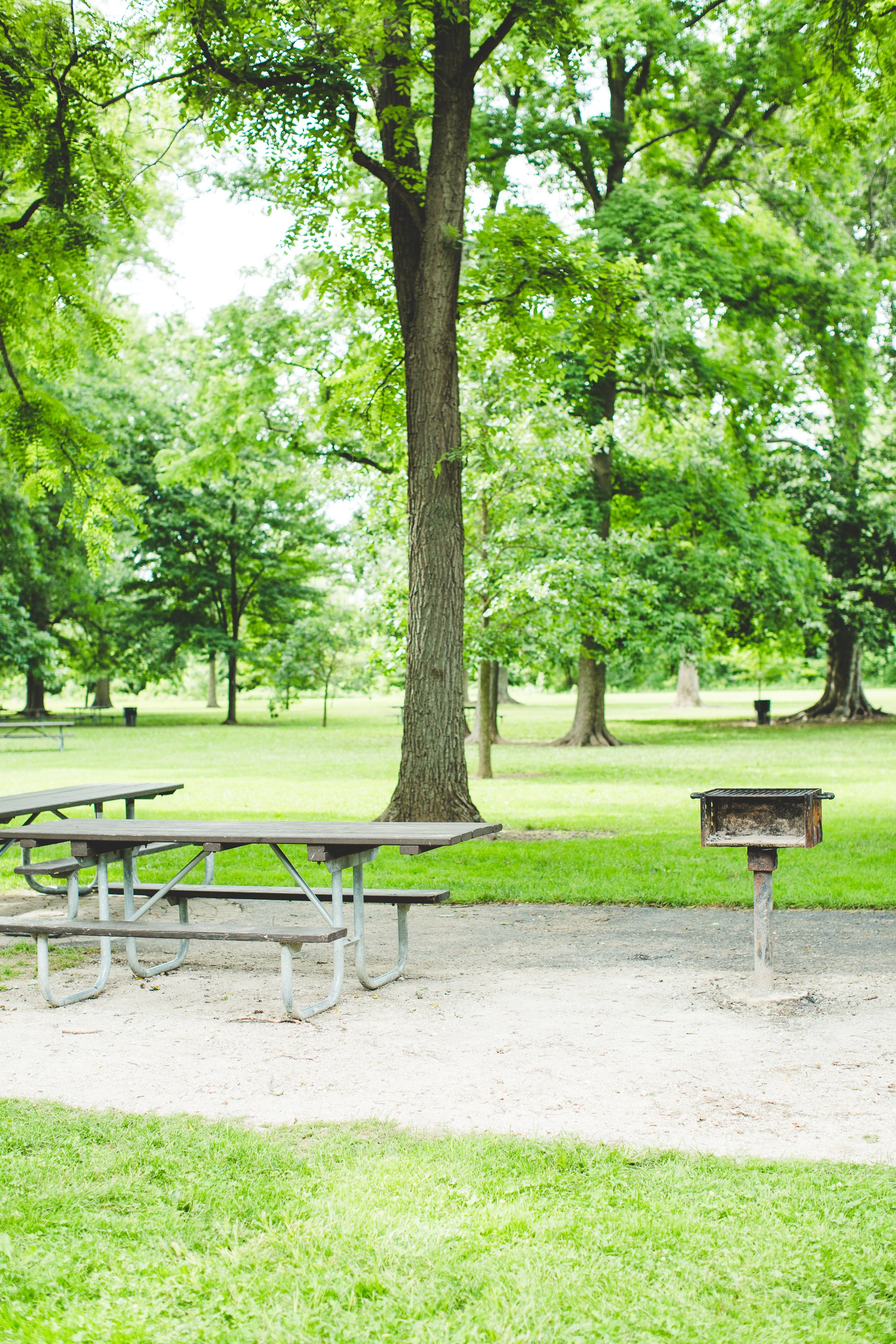 How to use that grody public grill without fear of poisoning your picnic •  Offbeat Home & Life