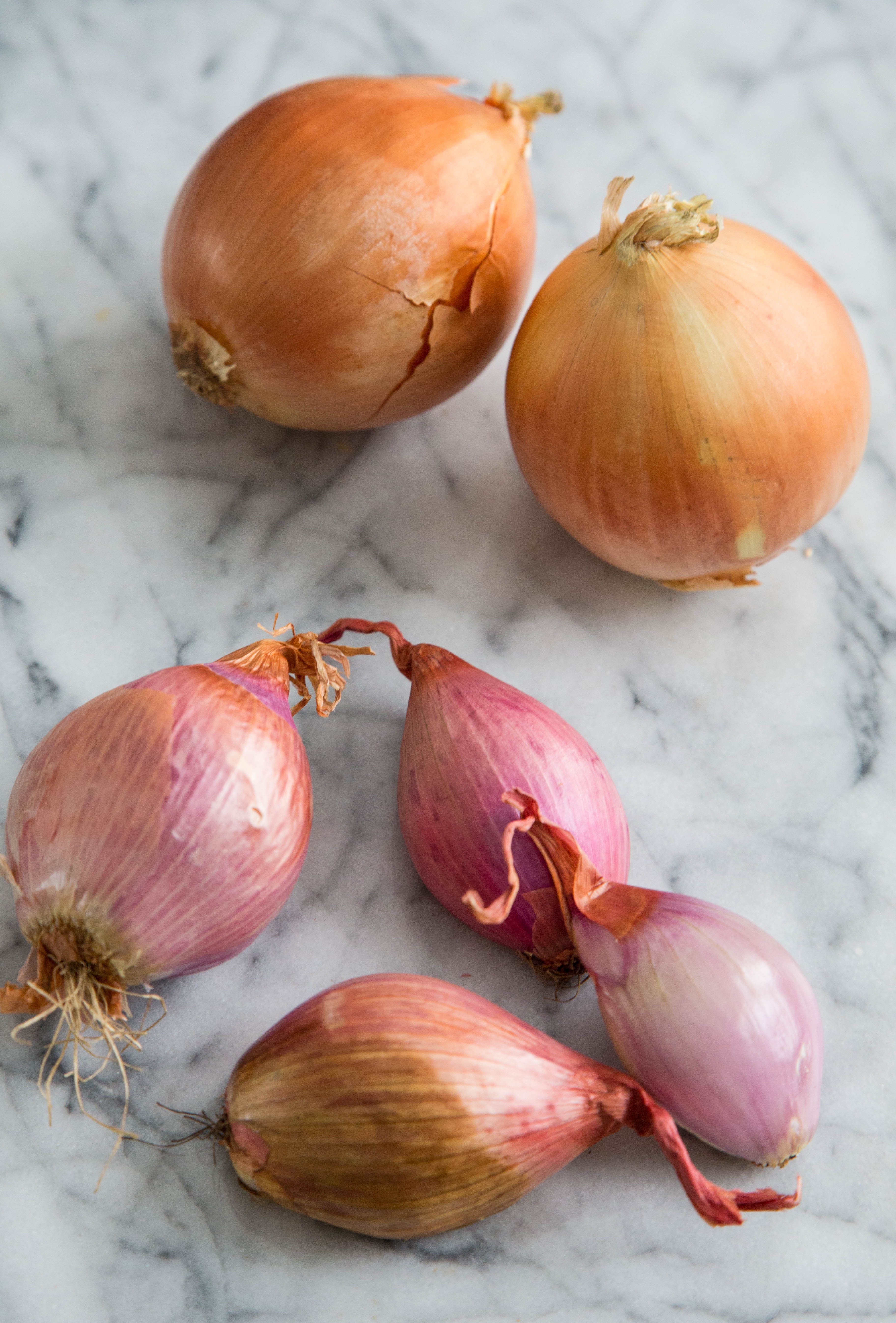 French Echalion Shallots