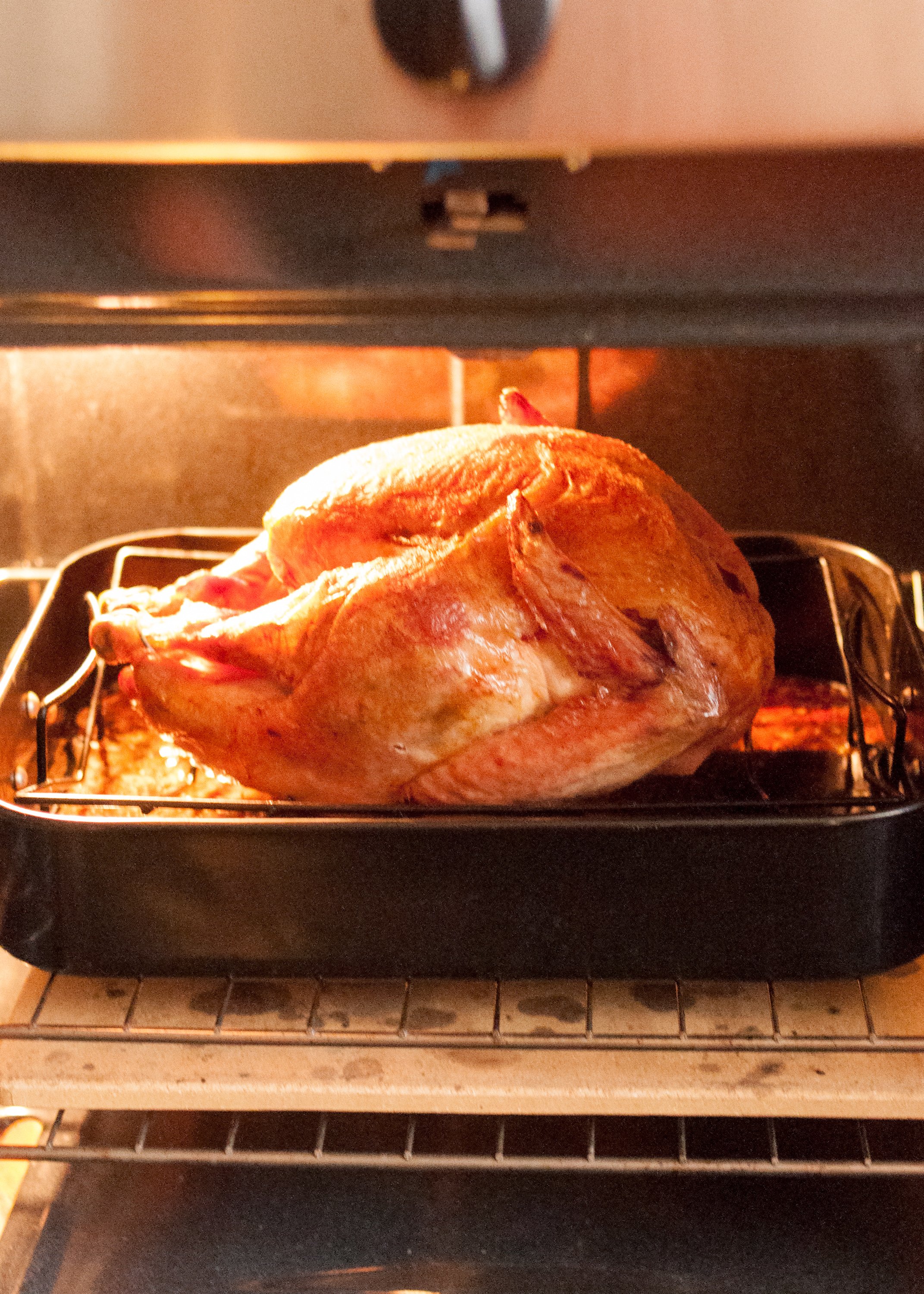 The Easiest Way to Roast A Turkey – Even If It's Frozen!