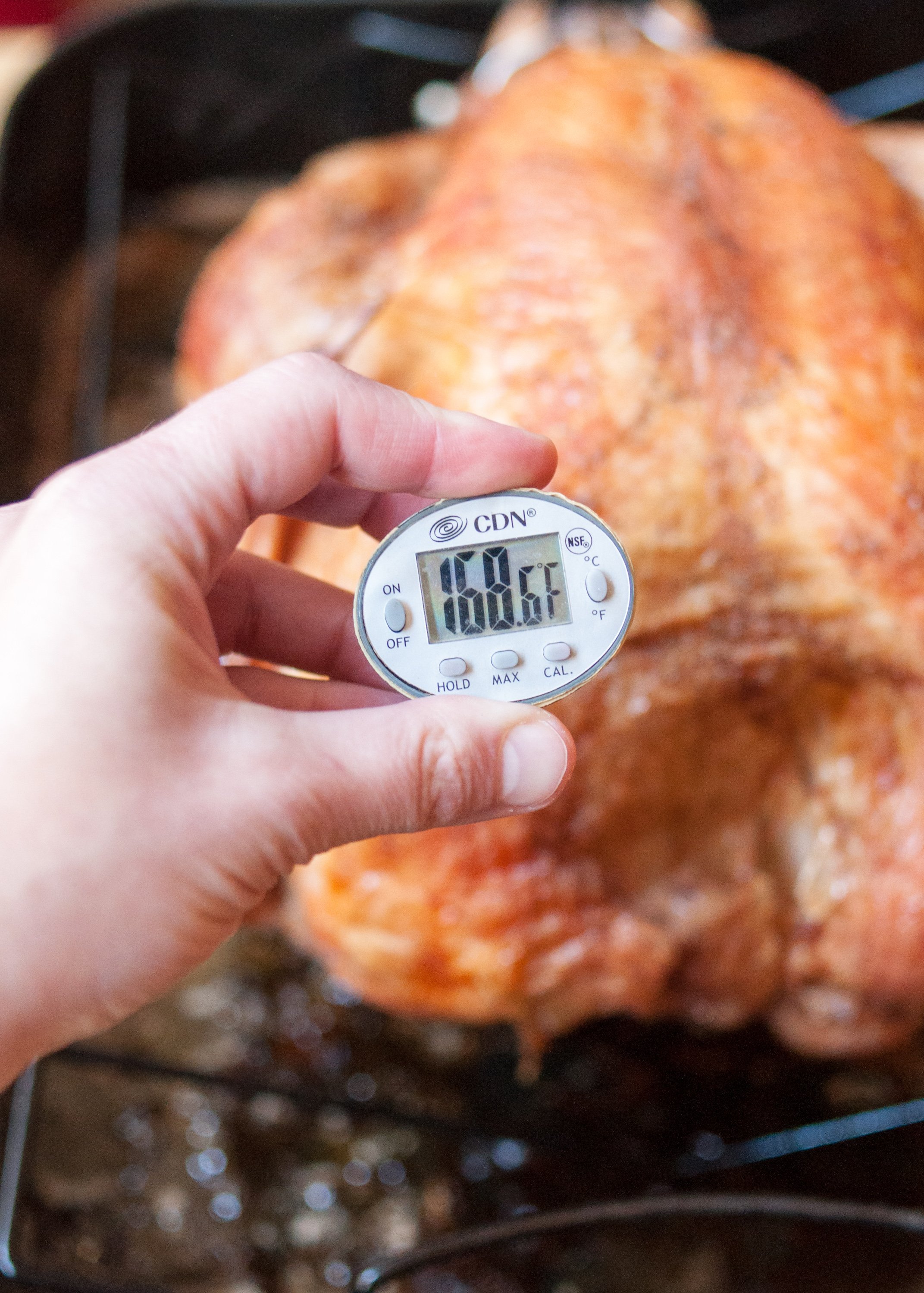 The Easiest Way to Roast A Turkey – Even If It's Frozen!