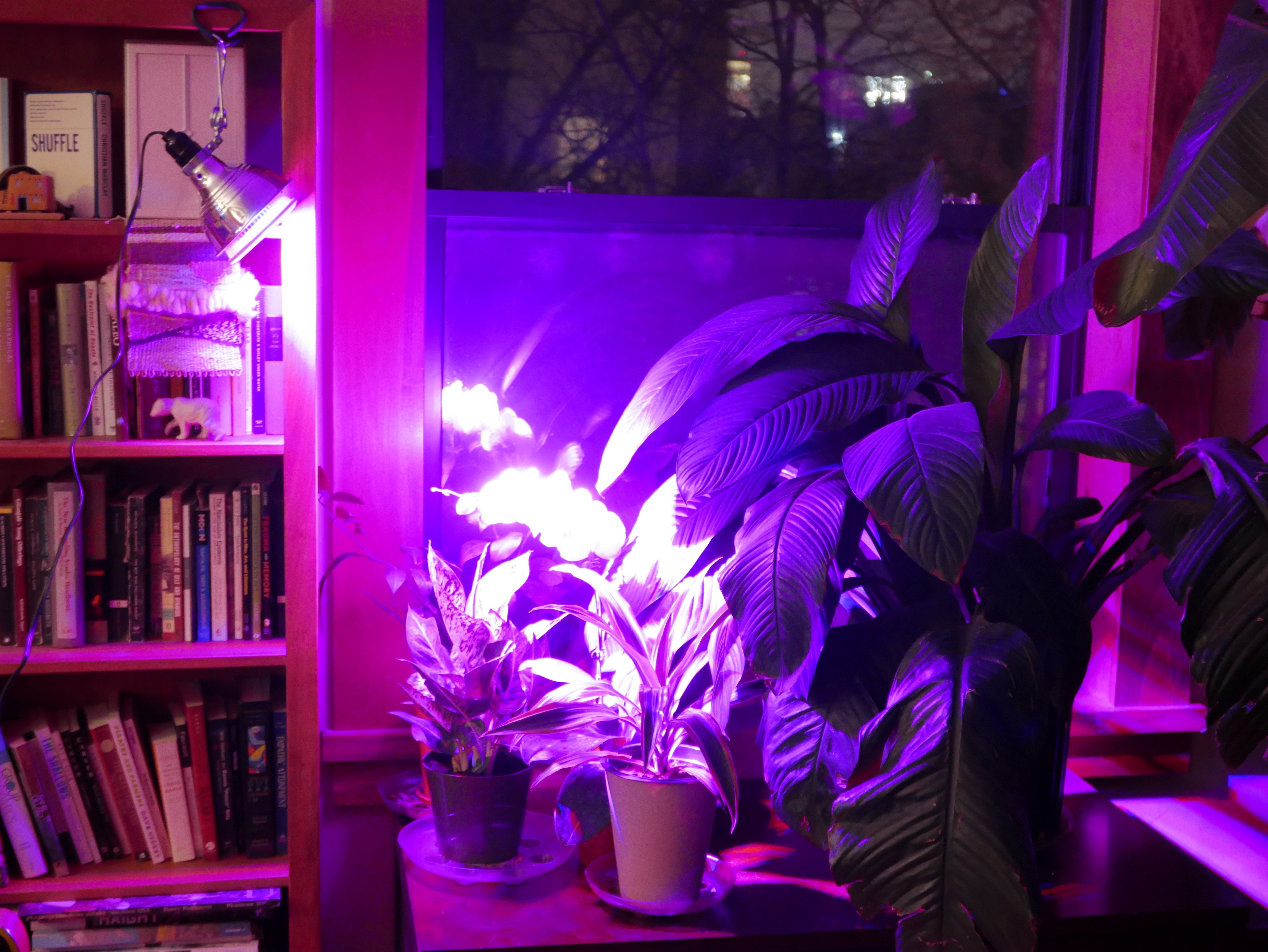 The Most Psychedelic Way To Grow Plants Indoors Kitchn