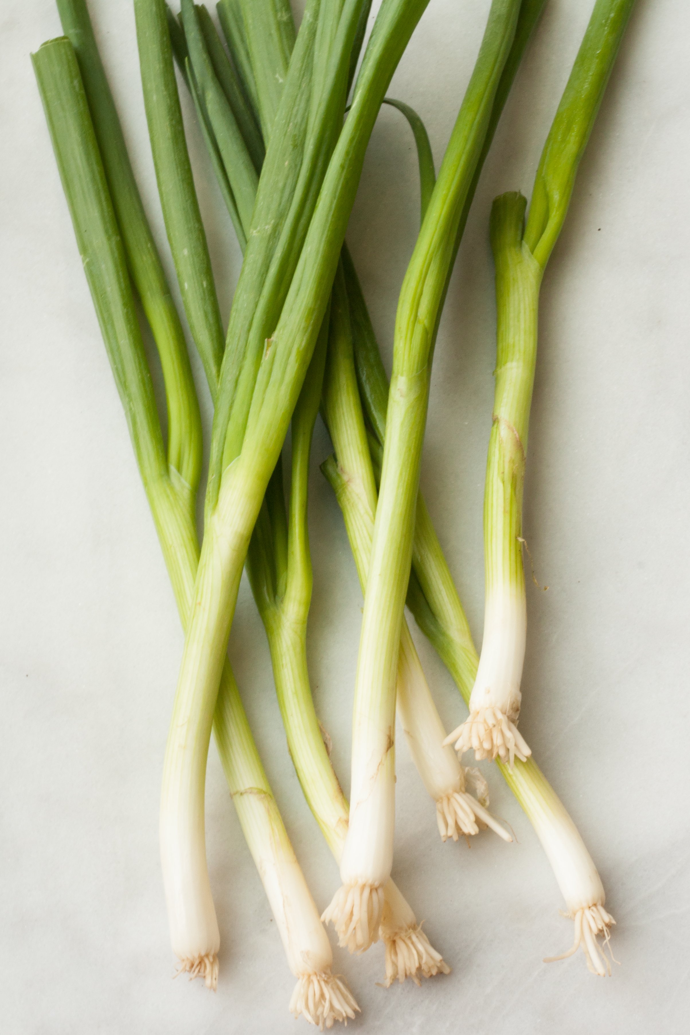 When to Use the White Part Versus the Green Part of a Scallion | Kitchn