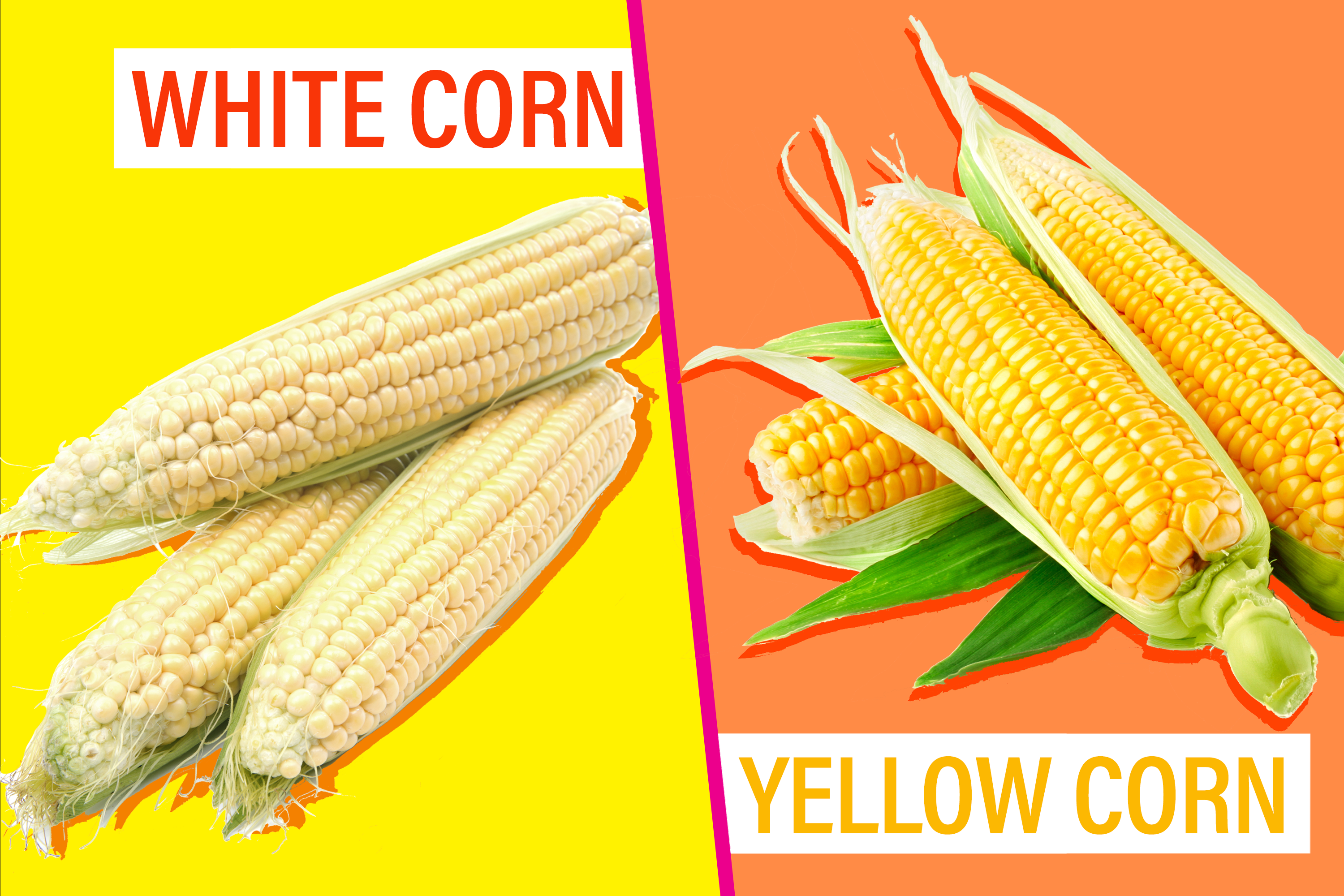 Difference Between White And Yellow Corn Kitchn