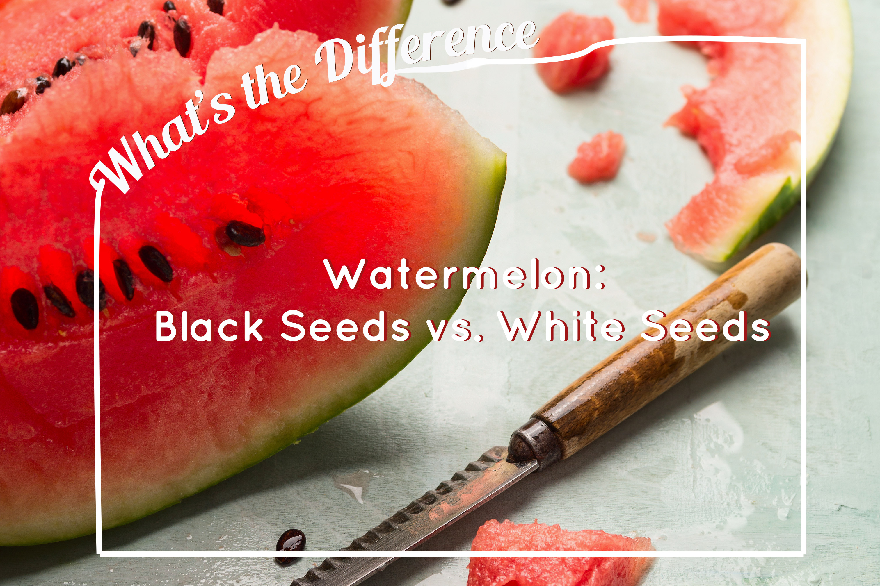 What's the Difference Between White and Black Seeds in Watermelon