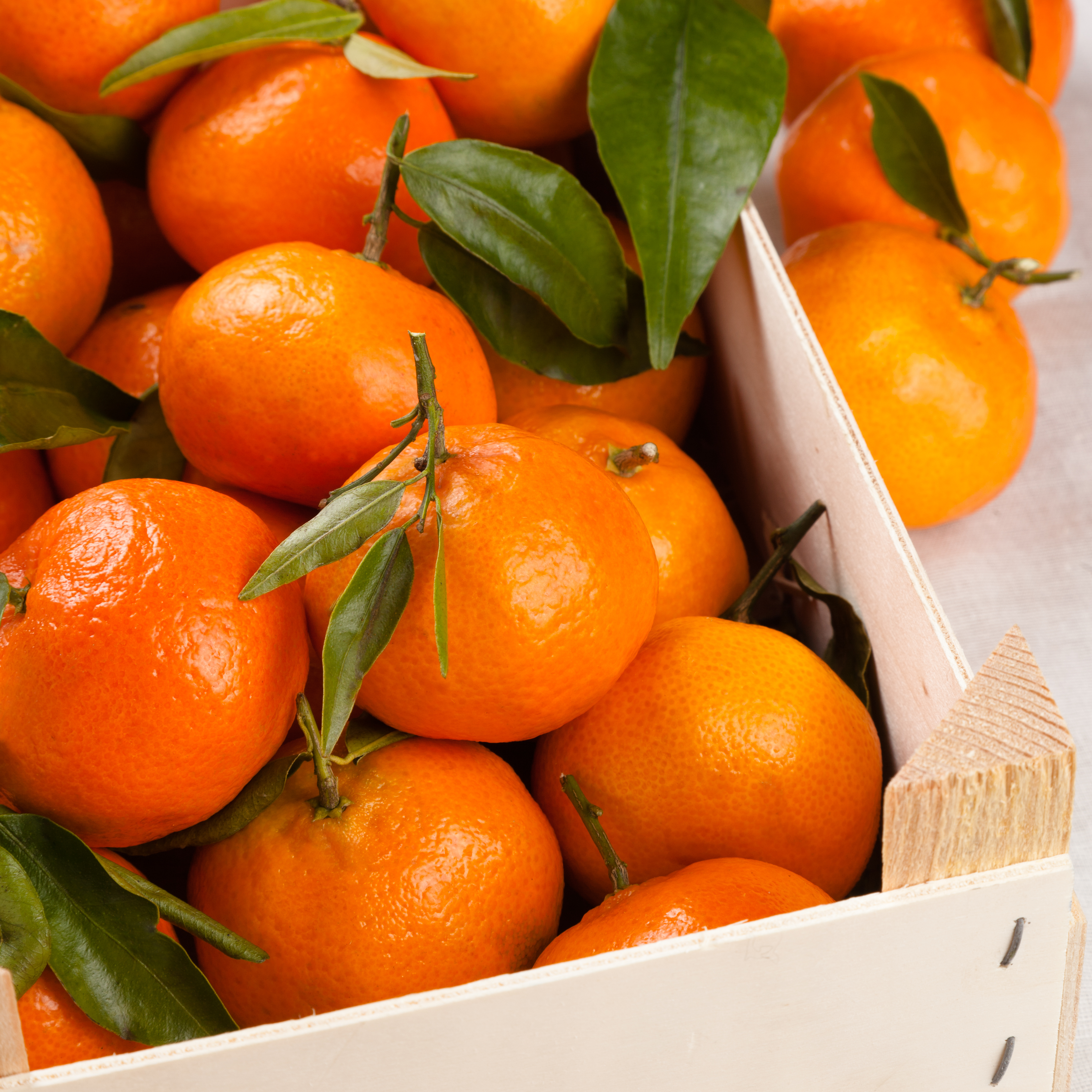 Clementines (Per Bag)