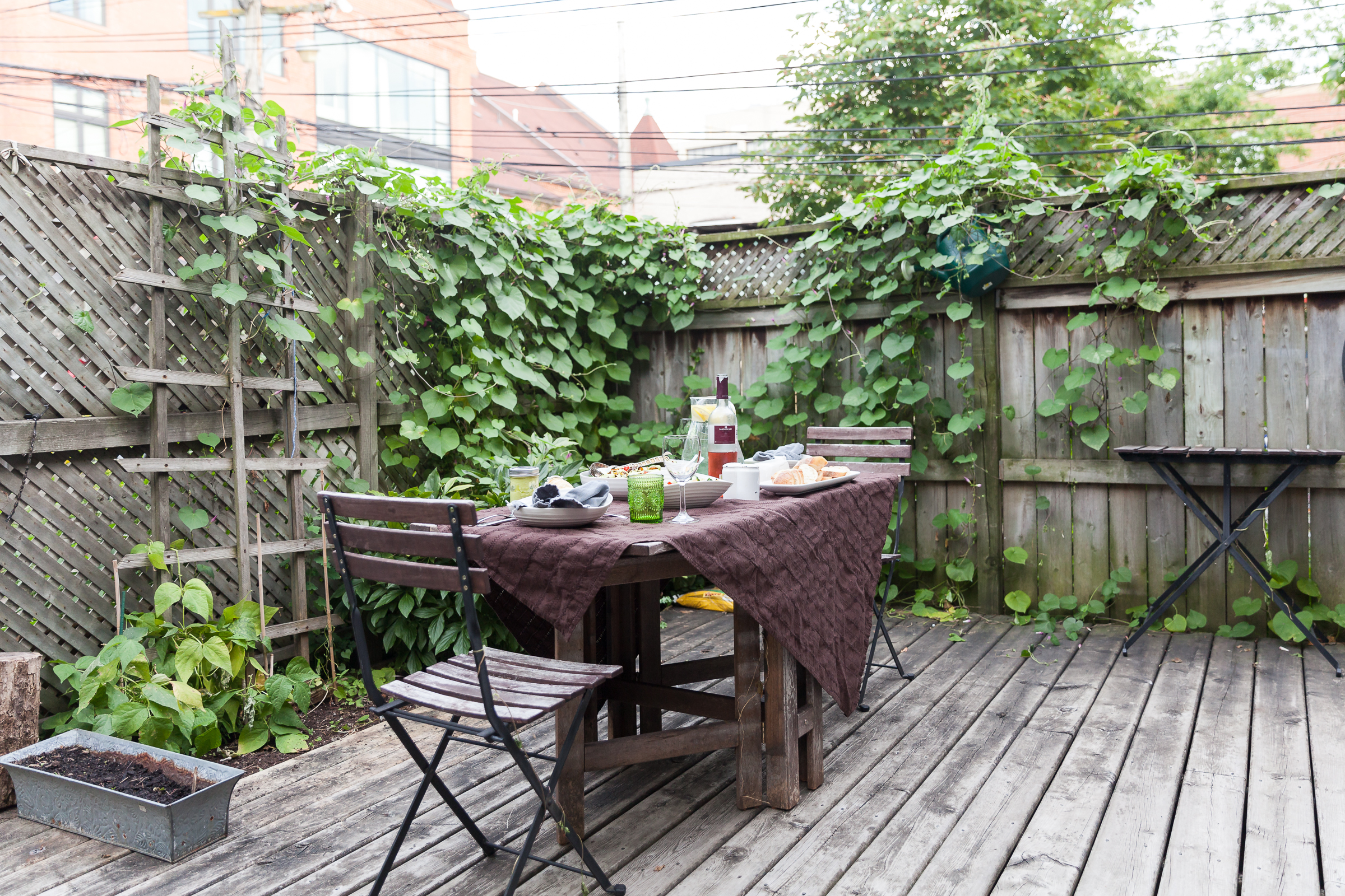 Repel Flies Cookout Tips Kitchn