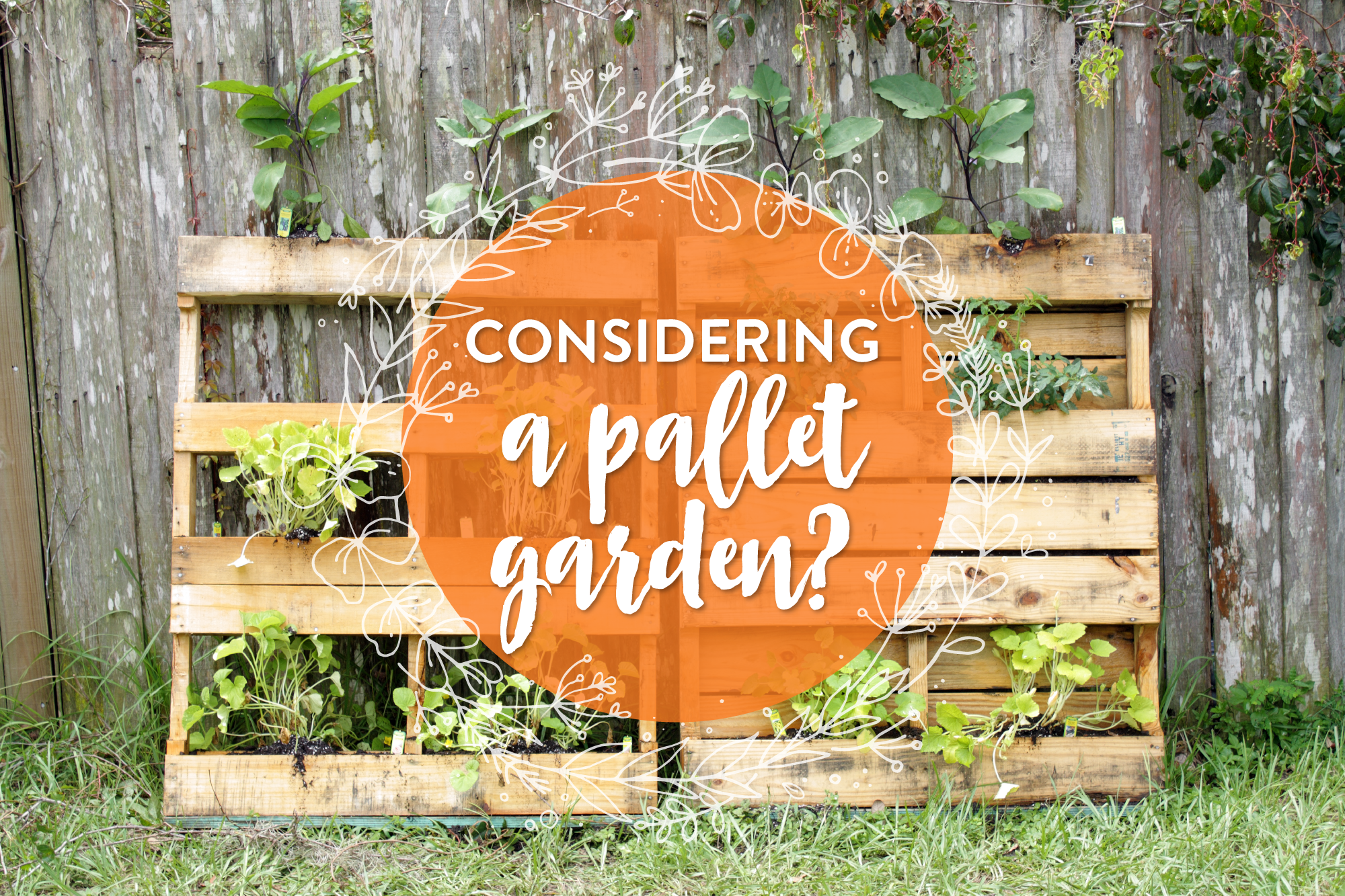 What You Should Know About Pallet Gardening Kitchn