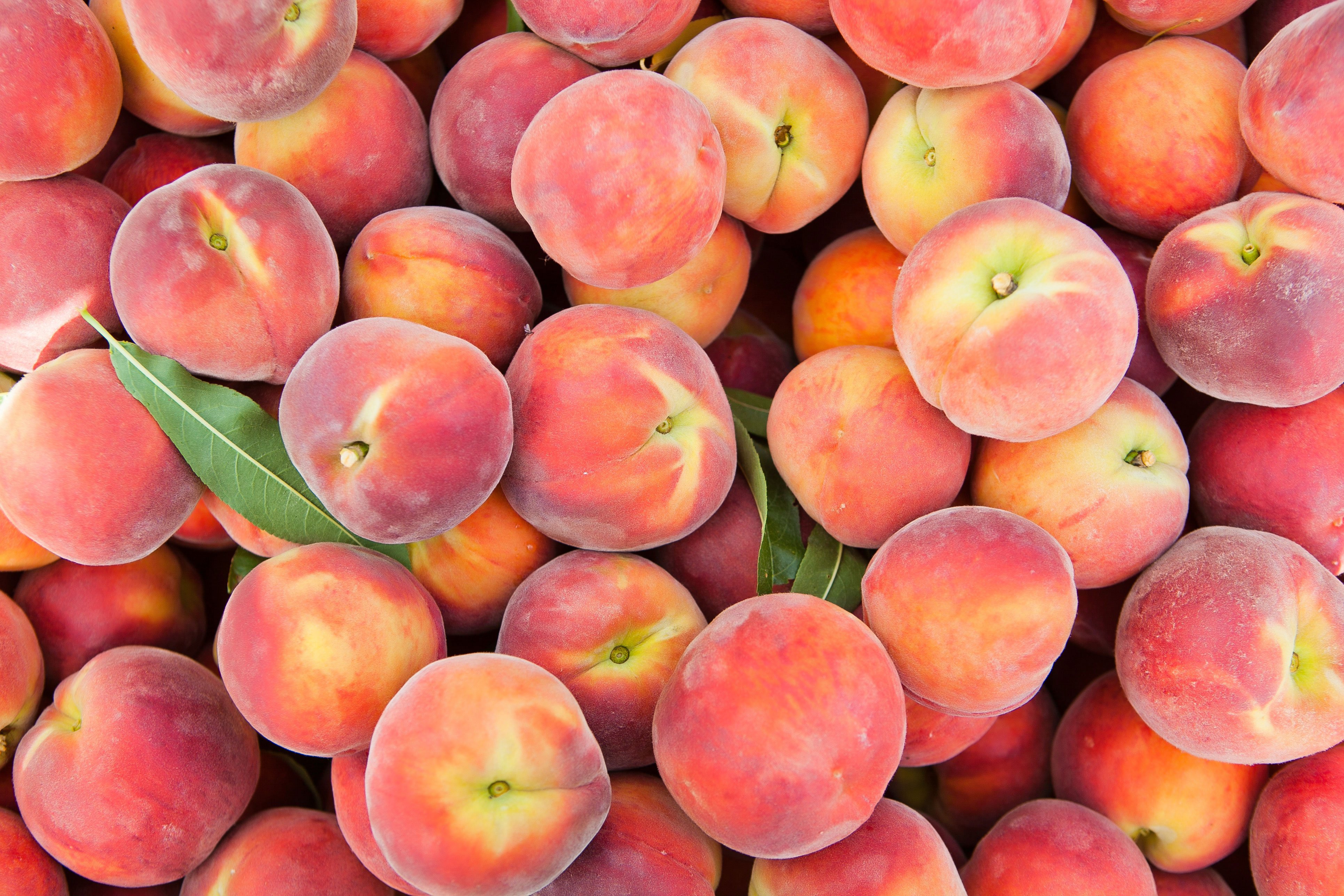 How to Ripen, Pick, and Store Peaches