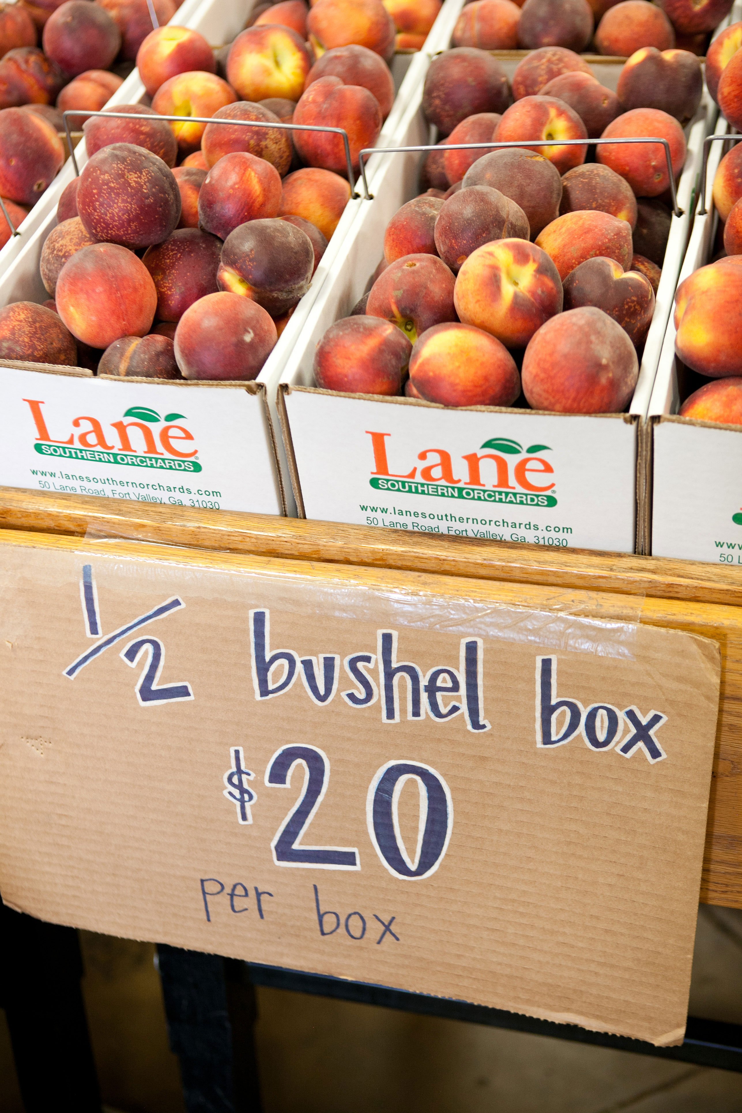 All About Peaches - How to Pick, Prepare & Store