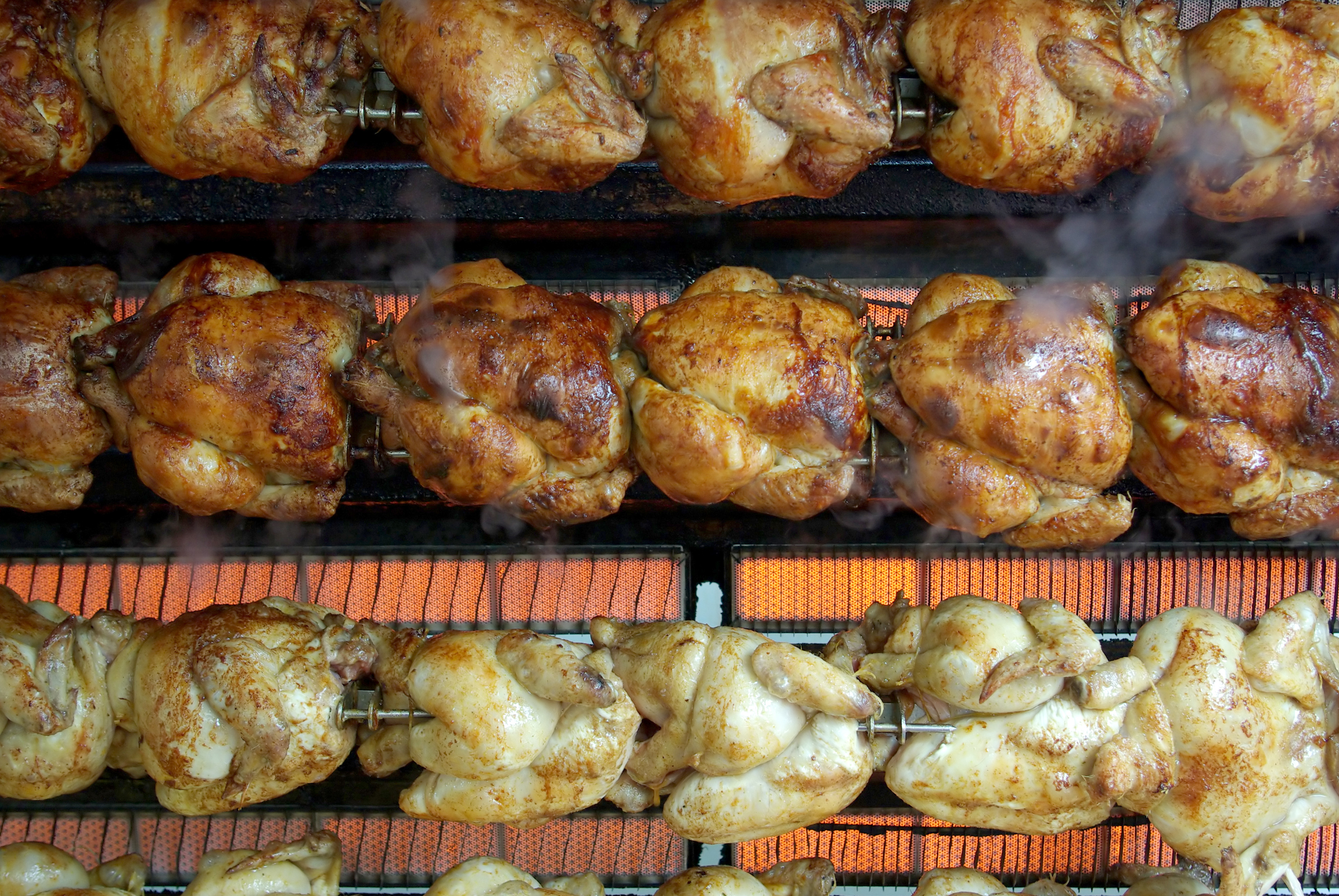 costco rotisserie chicken for dogs