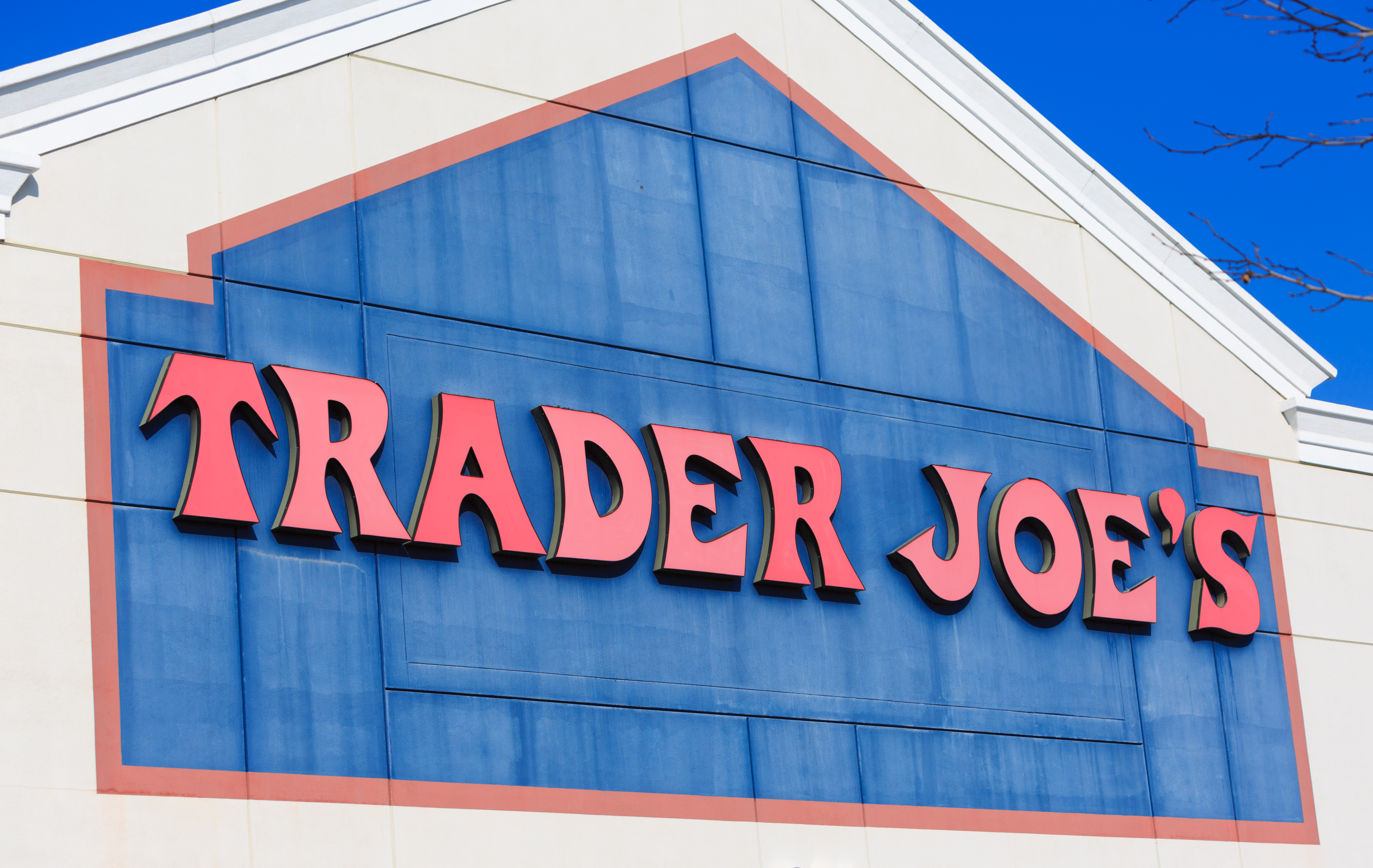 I Lived Off Trader Joe's Pork Gyoza When I Was 22 and on a Tiny Budget