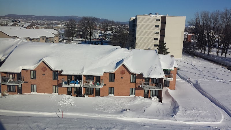 Boisé - Des Plaines - Photo 3