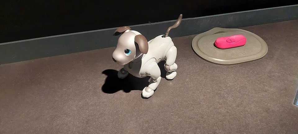 Sony aibo (ERS-1000)