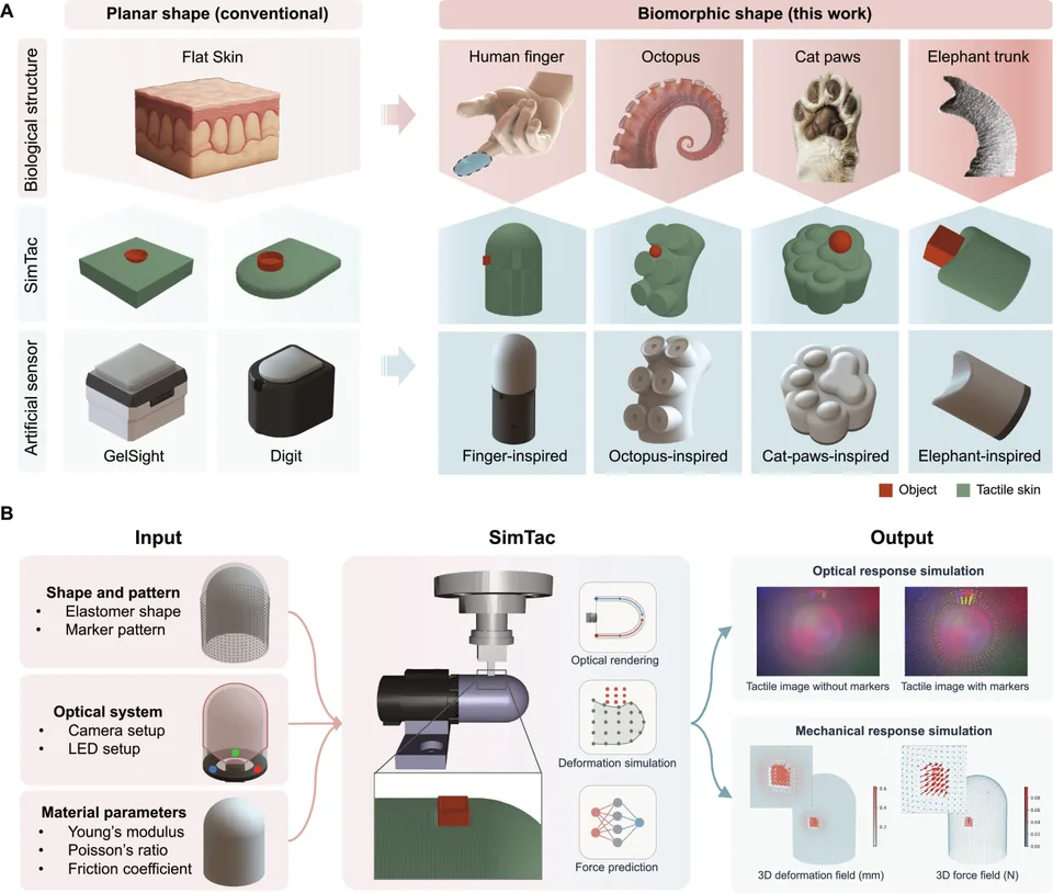 SimTac & DexSkin: Biomorphic Tactile Arrays and Hybrid MPC for Sim-to-Real